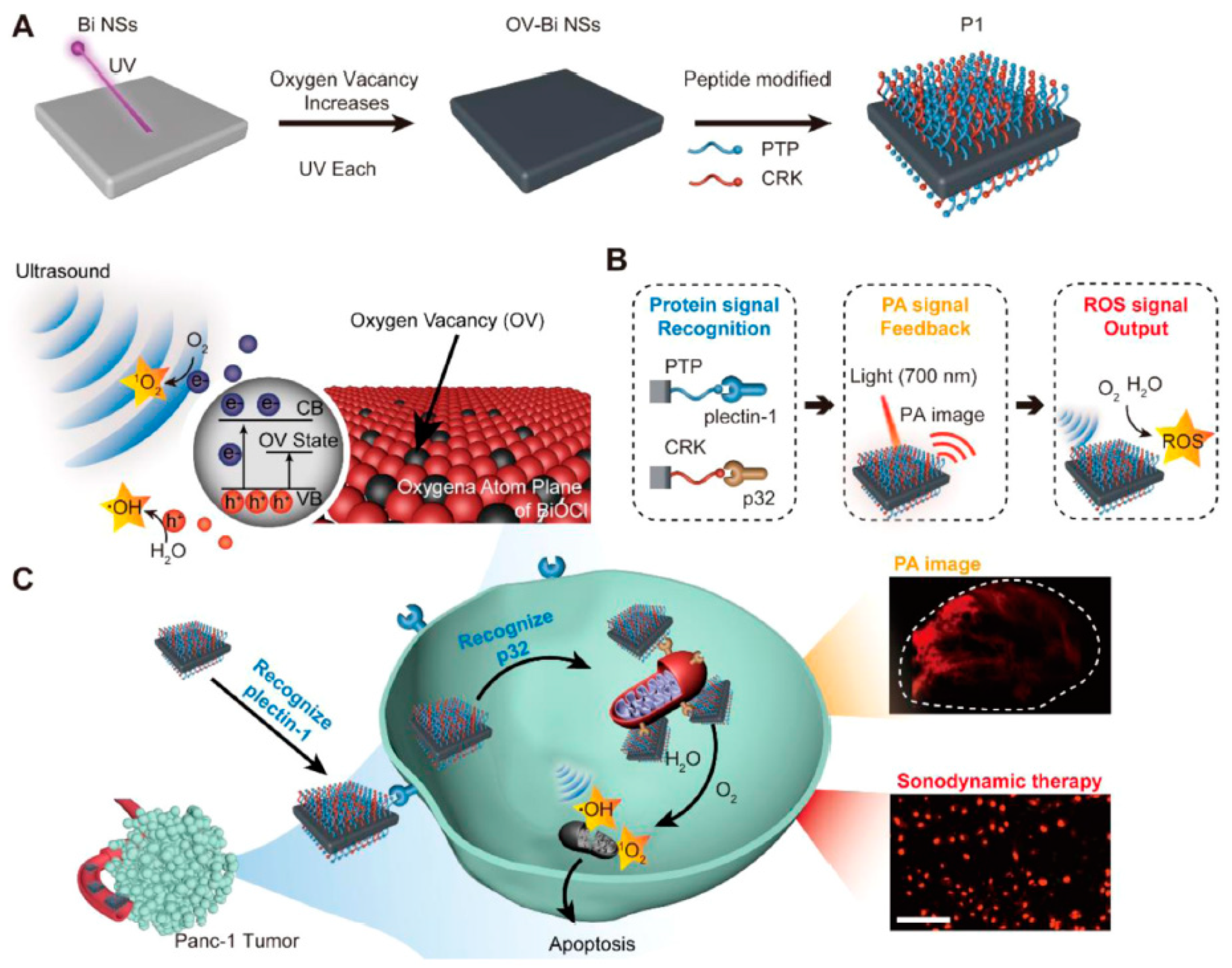Crystals 12 00491 g011