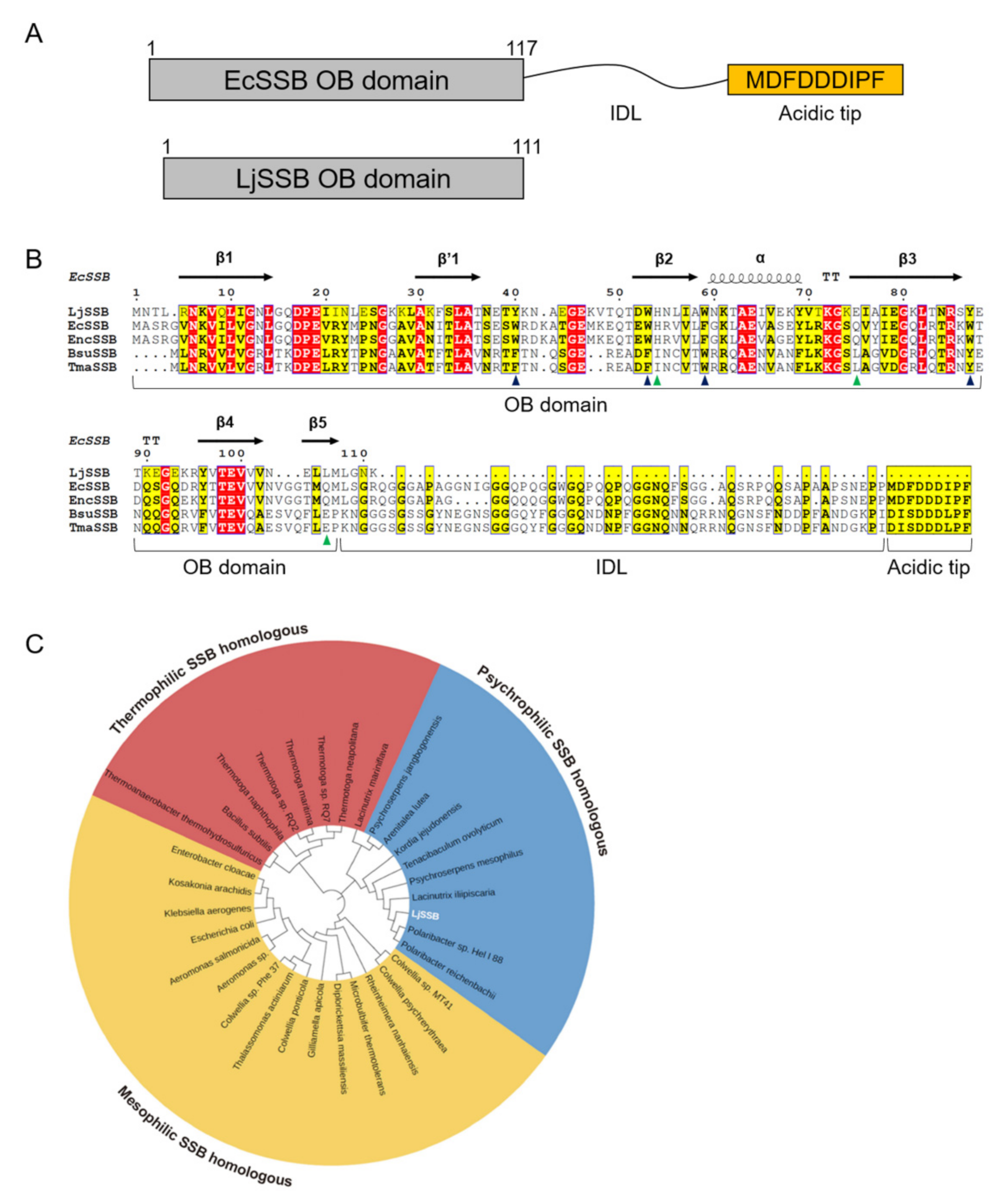 Crystals 12 00538 g001 Crystals 12 00538 g001