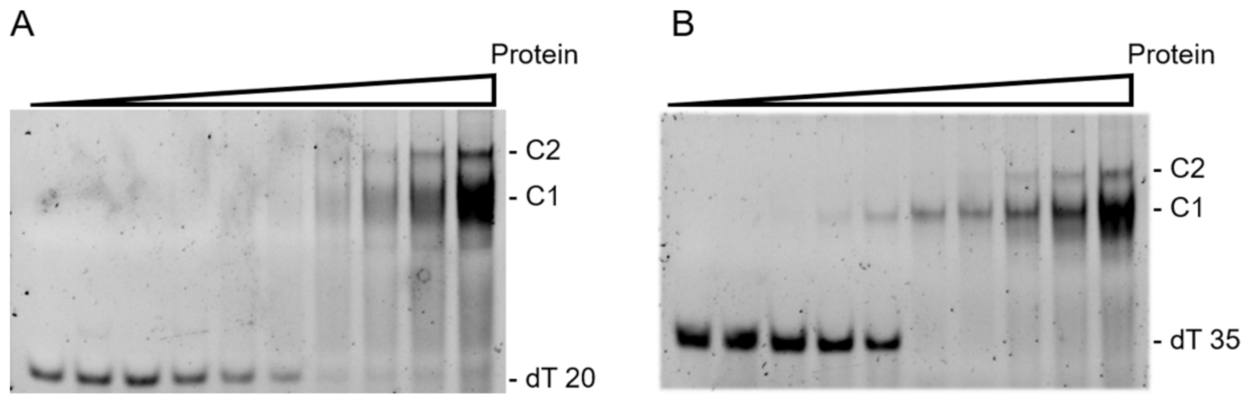 Crystals 12 00538 g003 Crystals 12 00538 g003