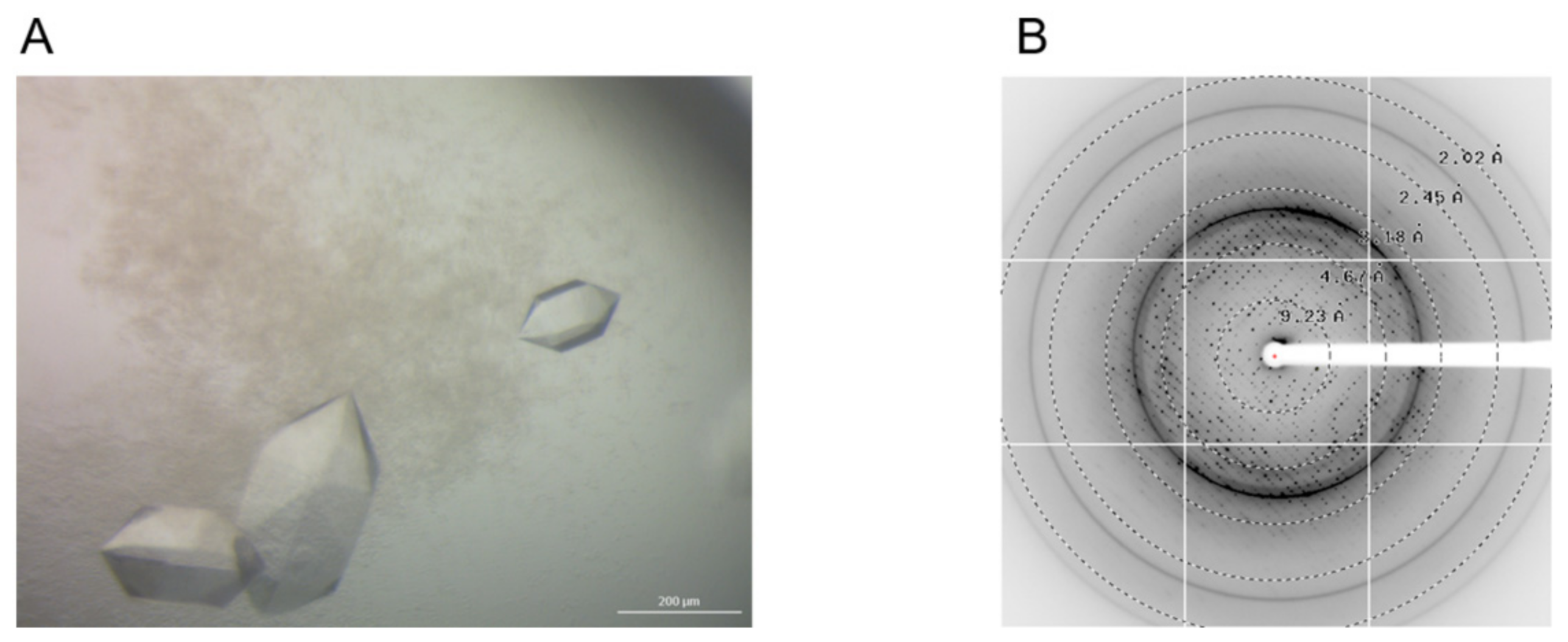 Crystals 12 00538 g004 Crystals 12 00538 g004