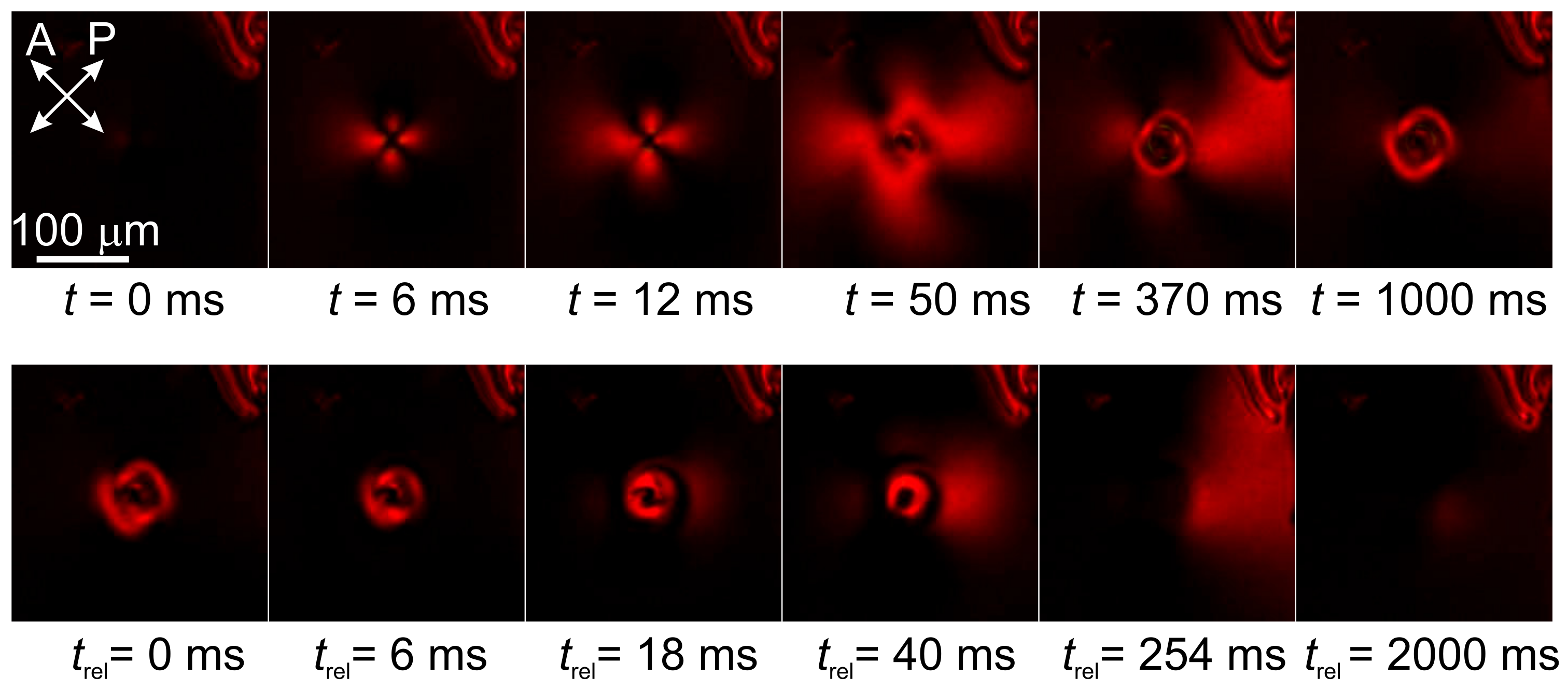 Crystals 12 00549 g002