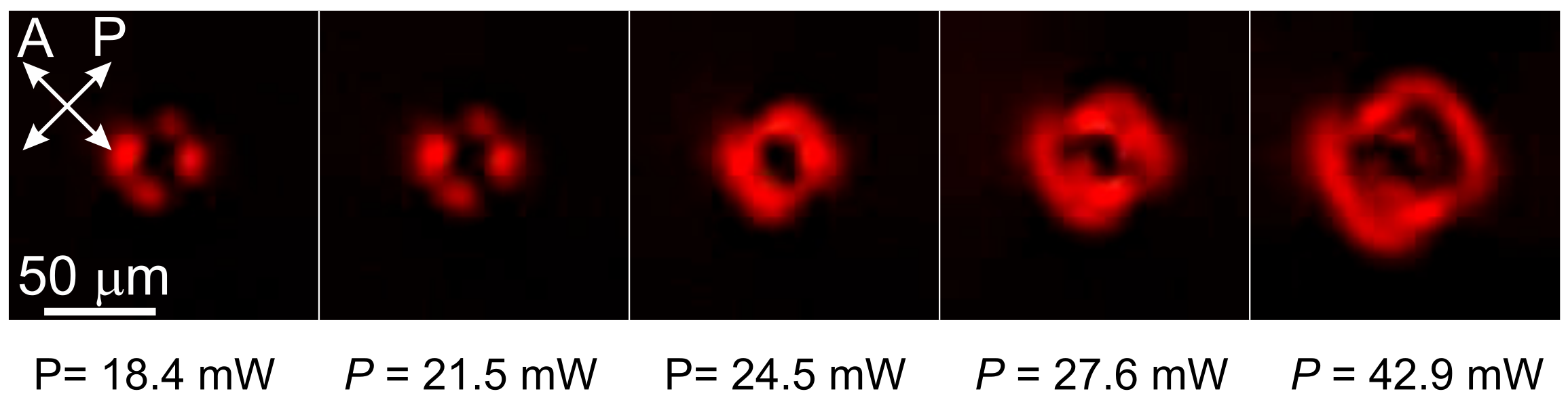 Crystals 12 00549 g003