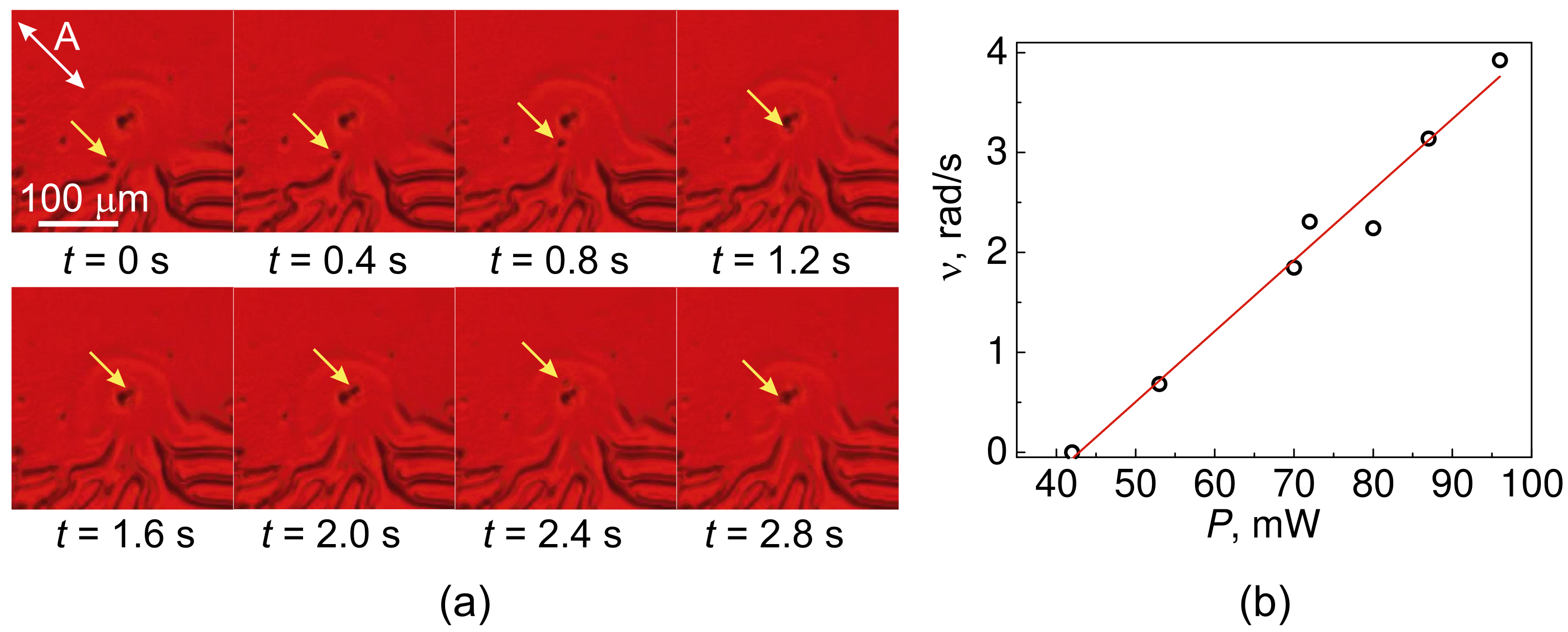 Crystals 12 00549 g004