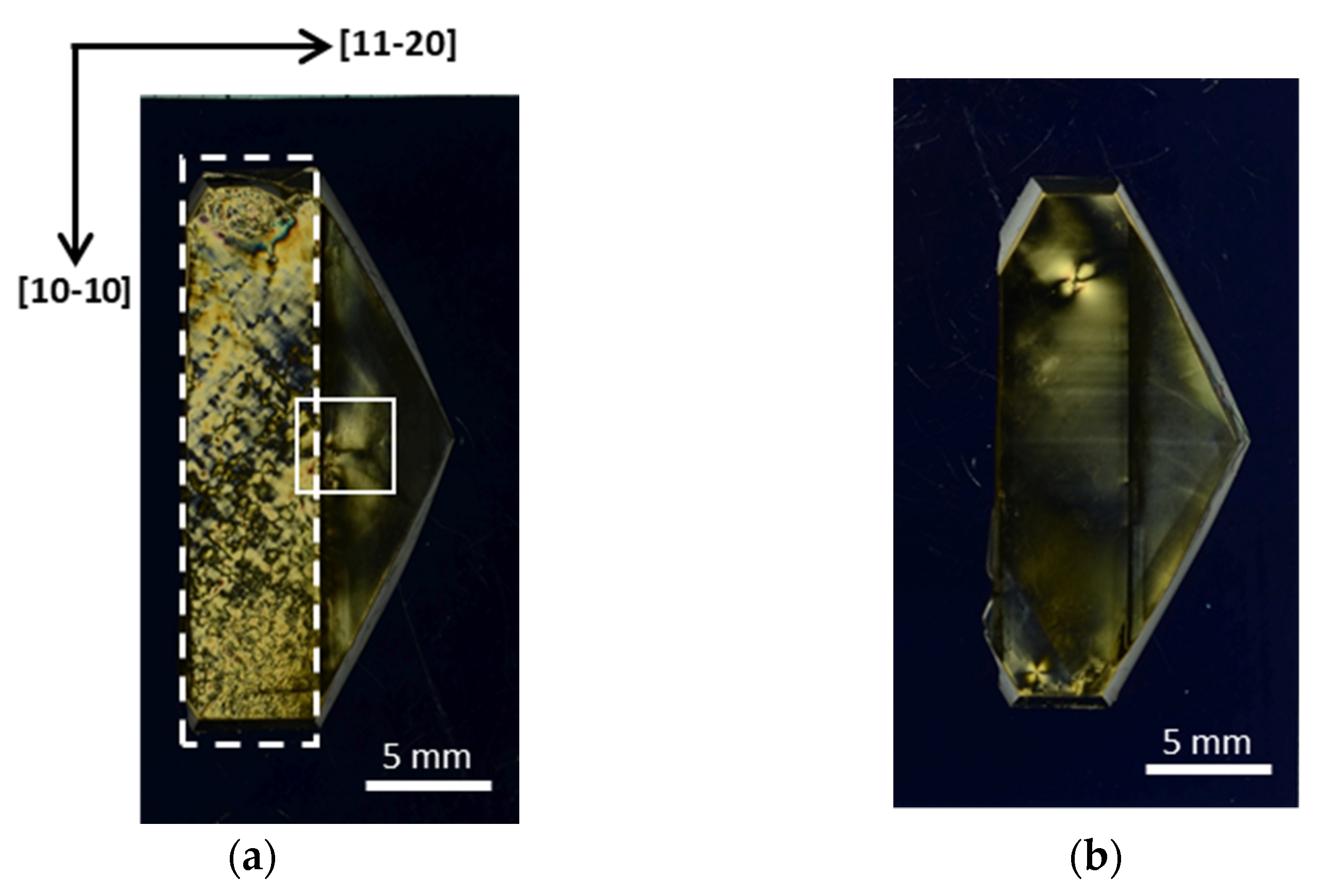 Crystals 12 00554 g005
