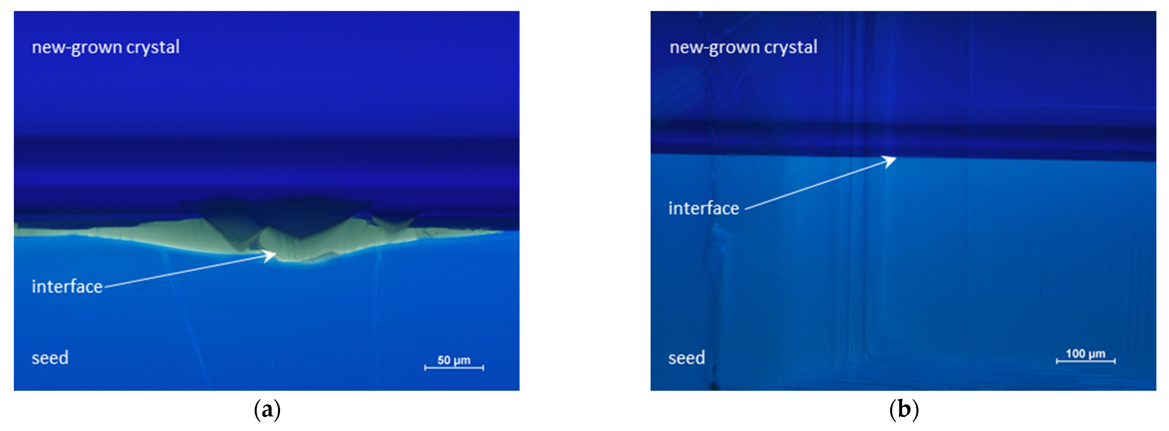 Crystals 12 00554 g007