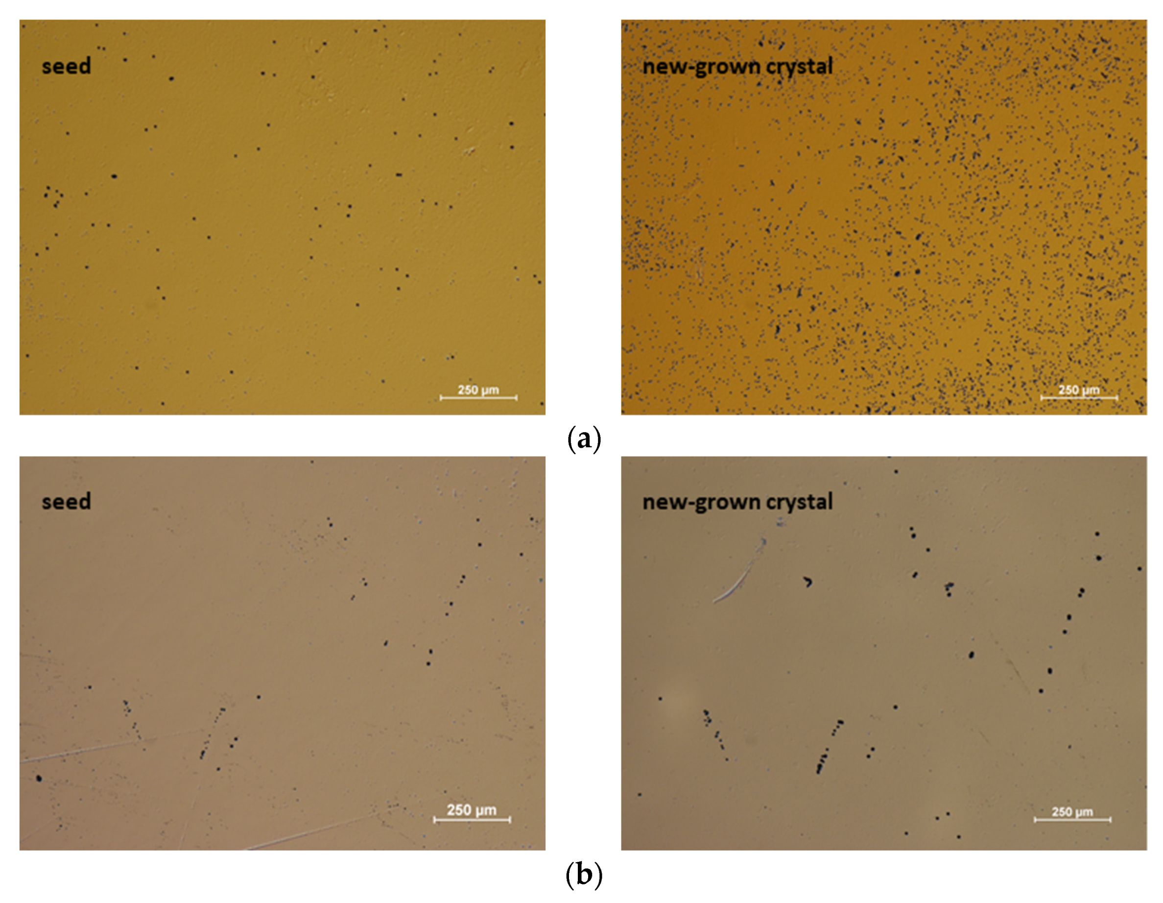 Crystals 12 00554 g008