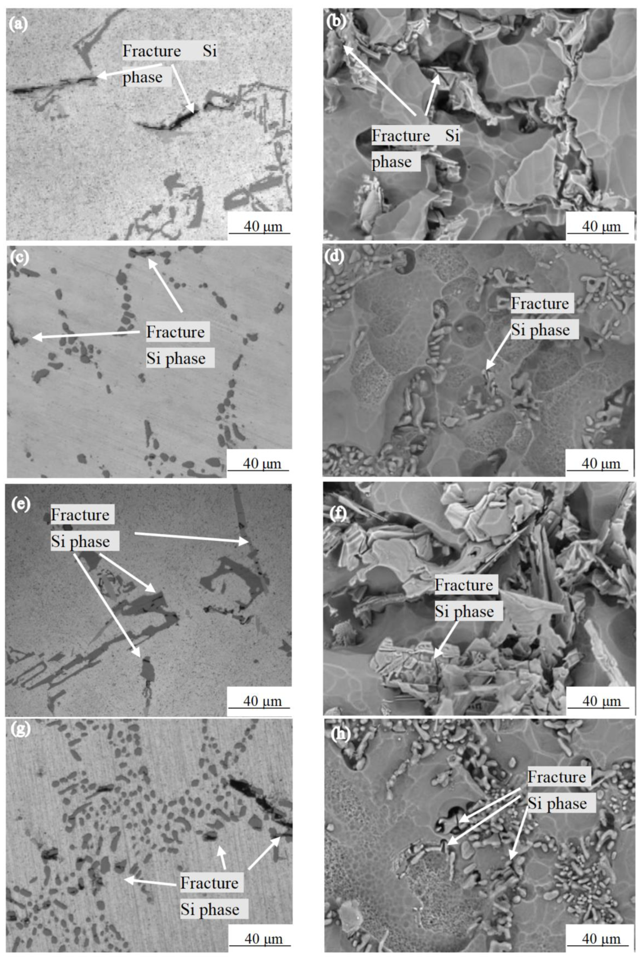 Crystals 12 00563 g005