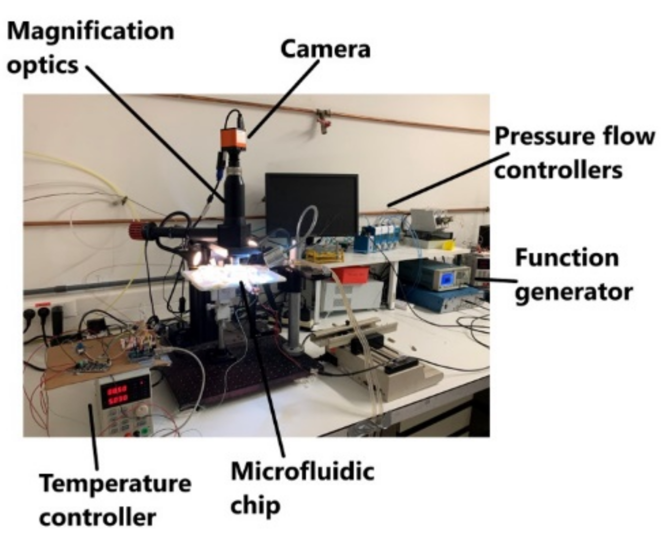 Crystals 12 00577 g006