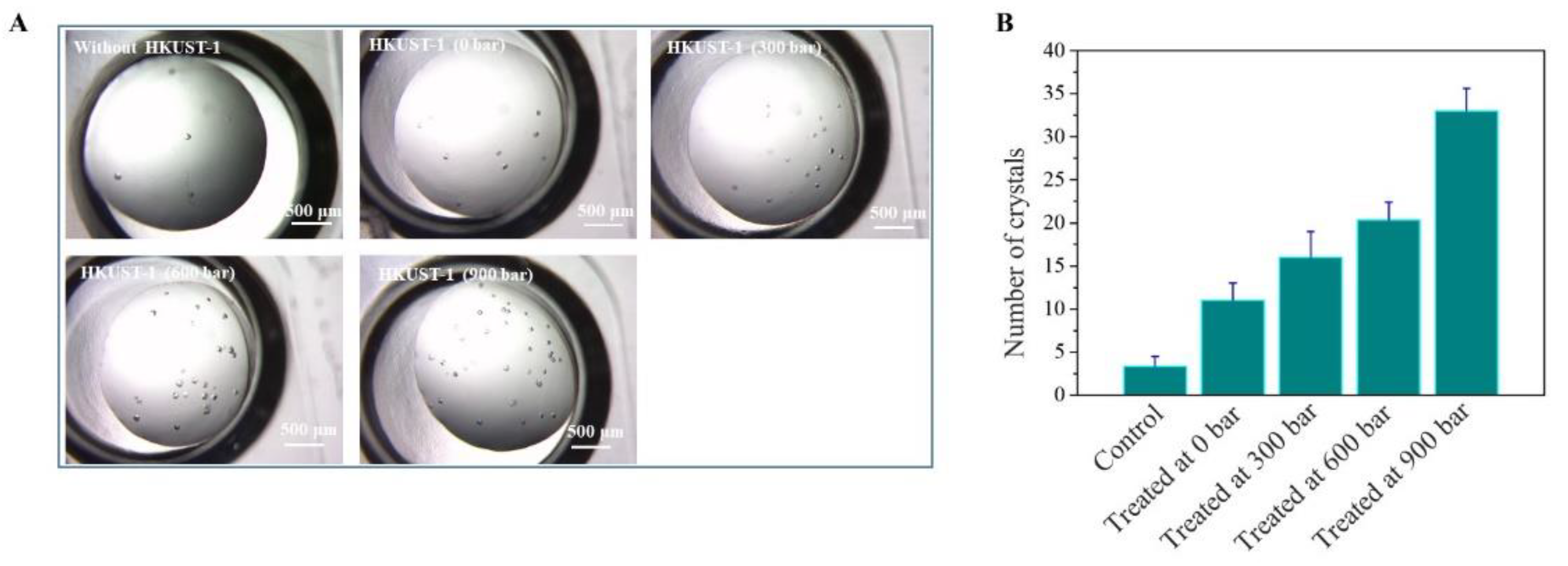 Crystals 12 00578 g003