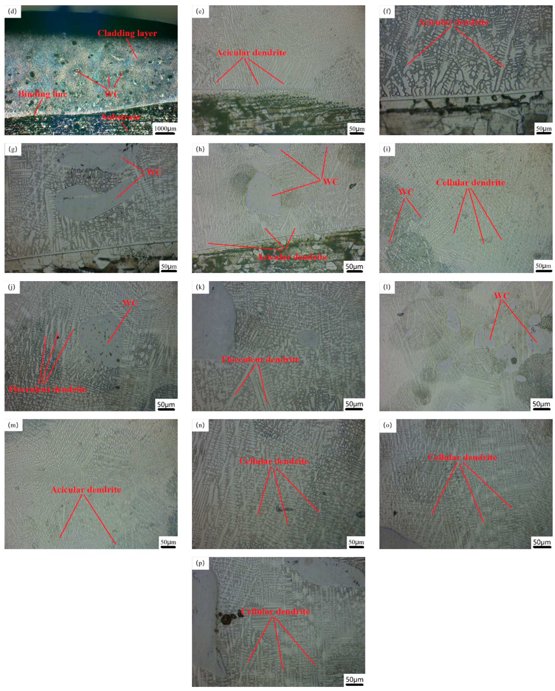 Crystals 12 00591 g003b