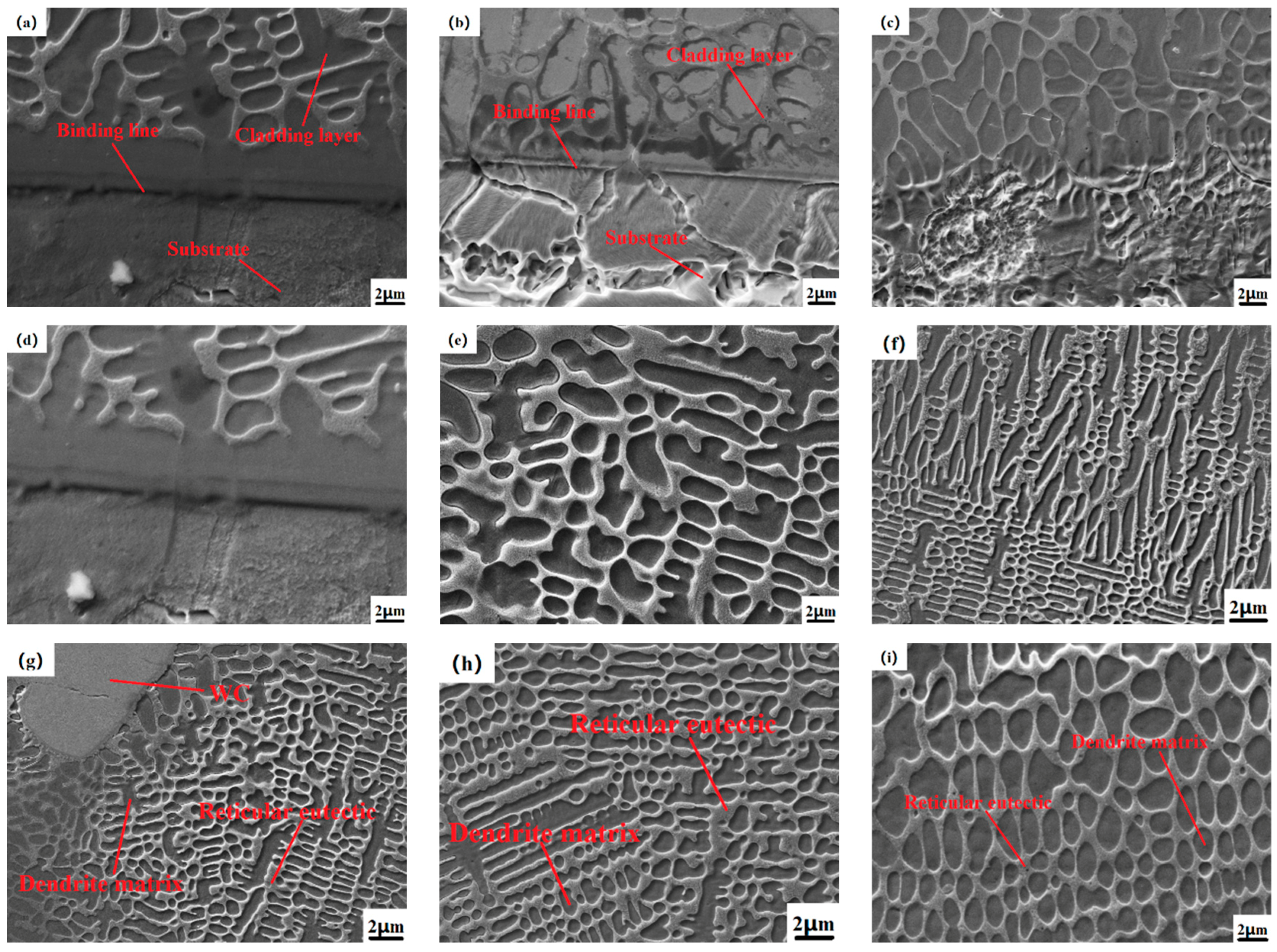 Crystals 12 00591 g004a