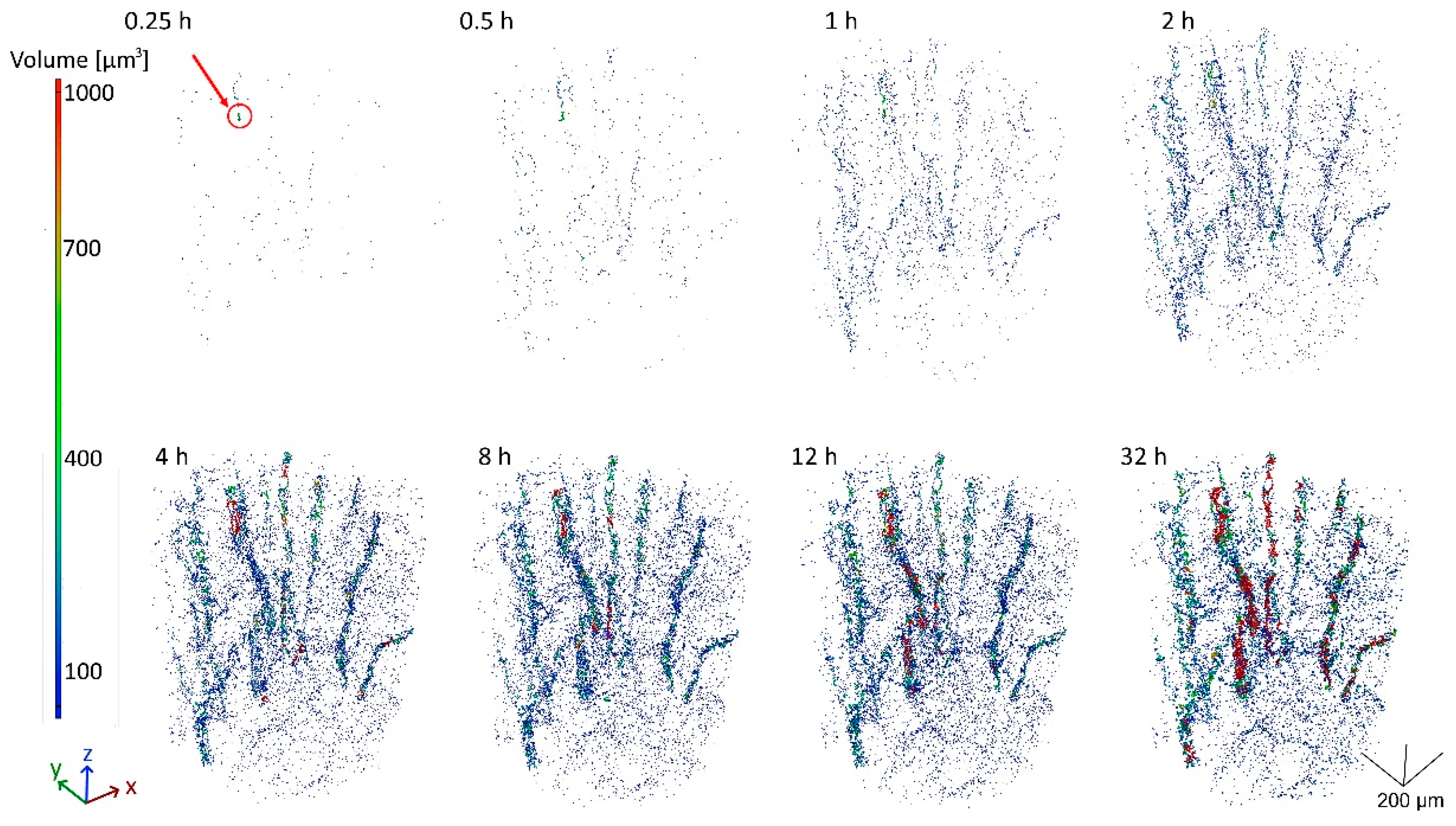 Crystals 12 00607 g005