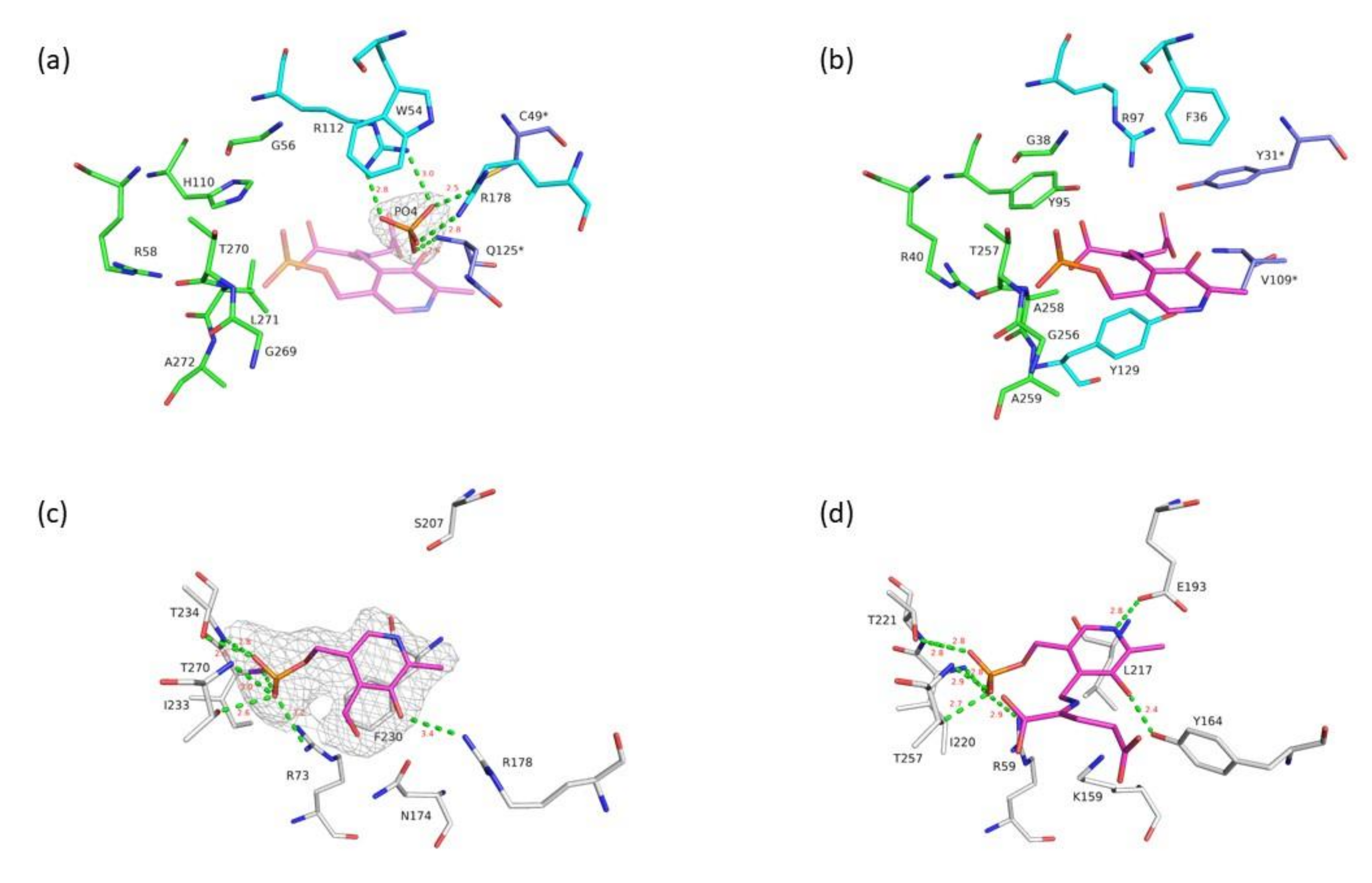 Crystals 12 00619 g004
