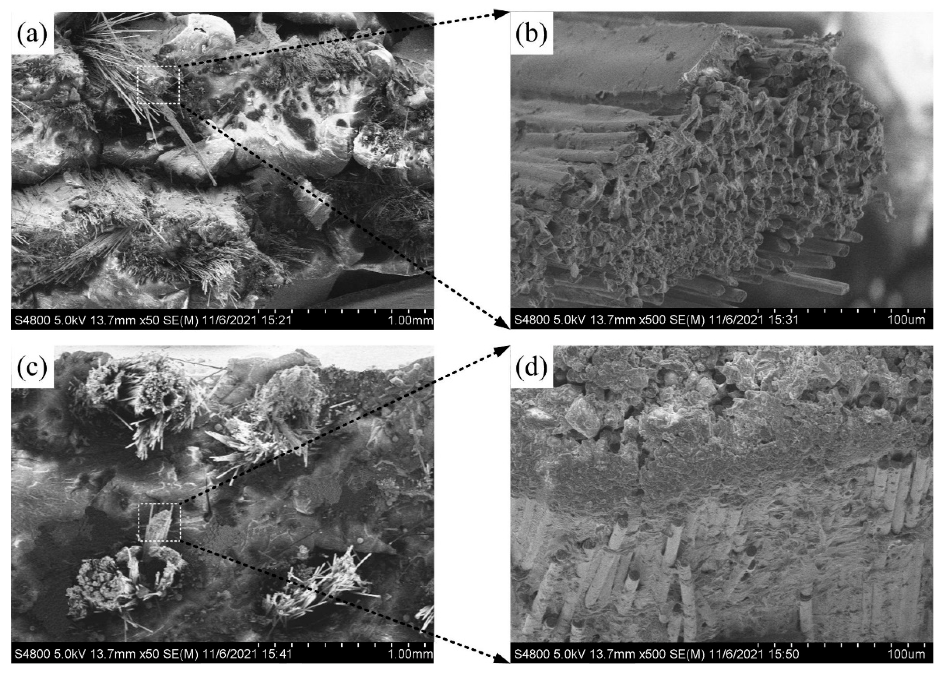 Crystals 12 00649 g010