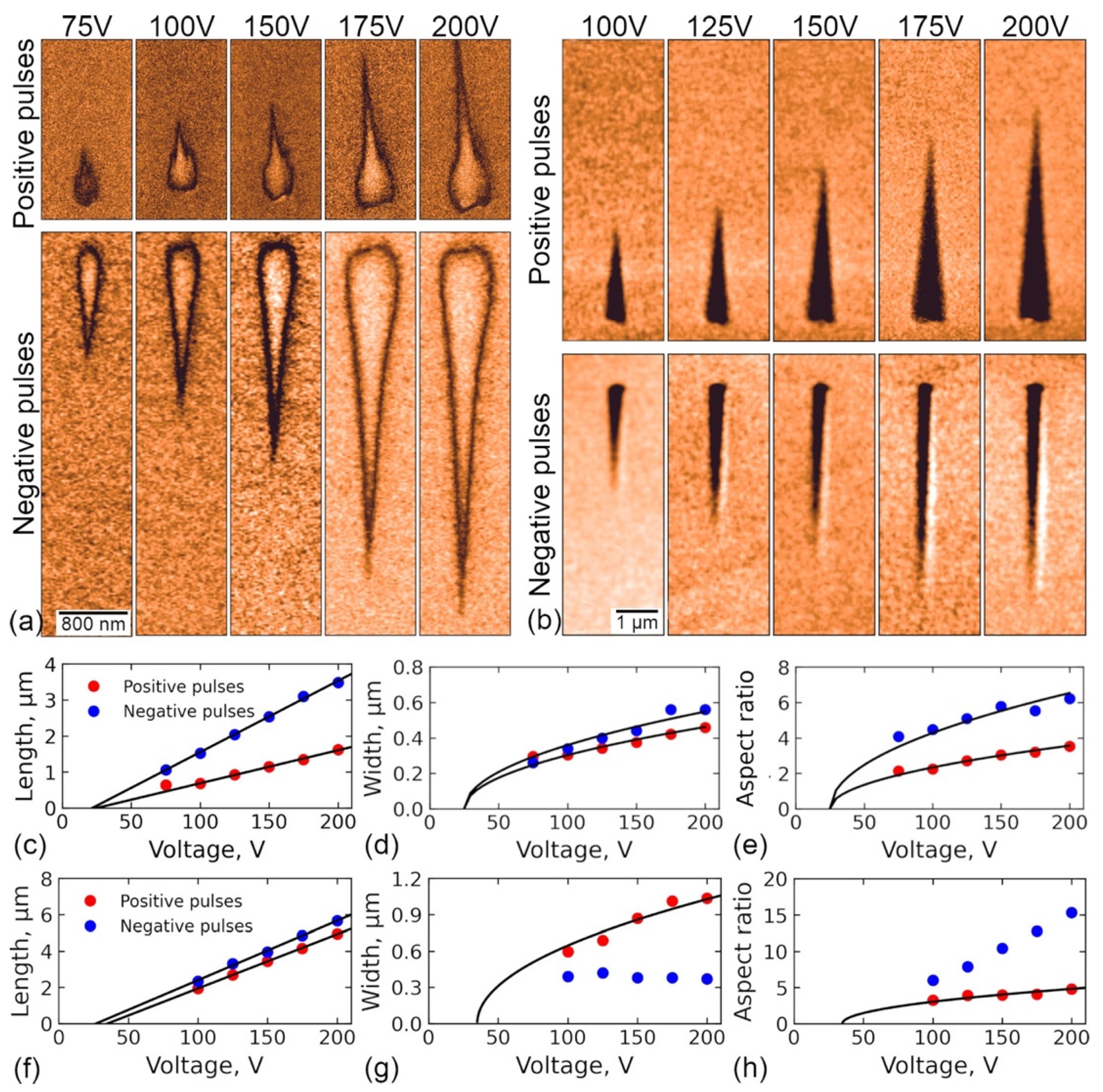 Crystals 12 00659 g002