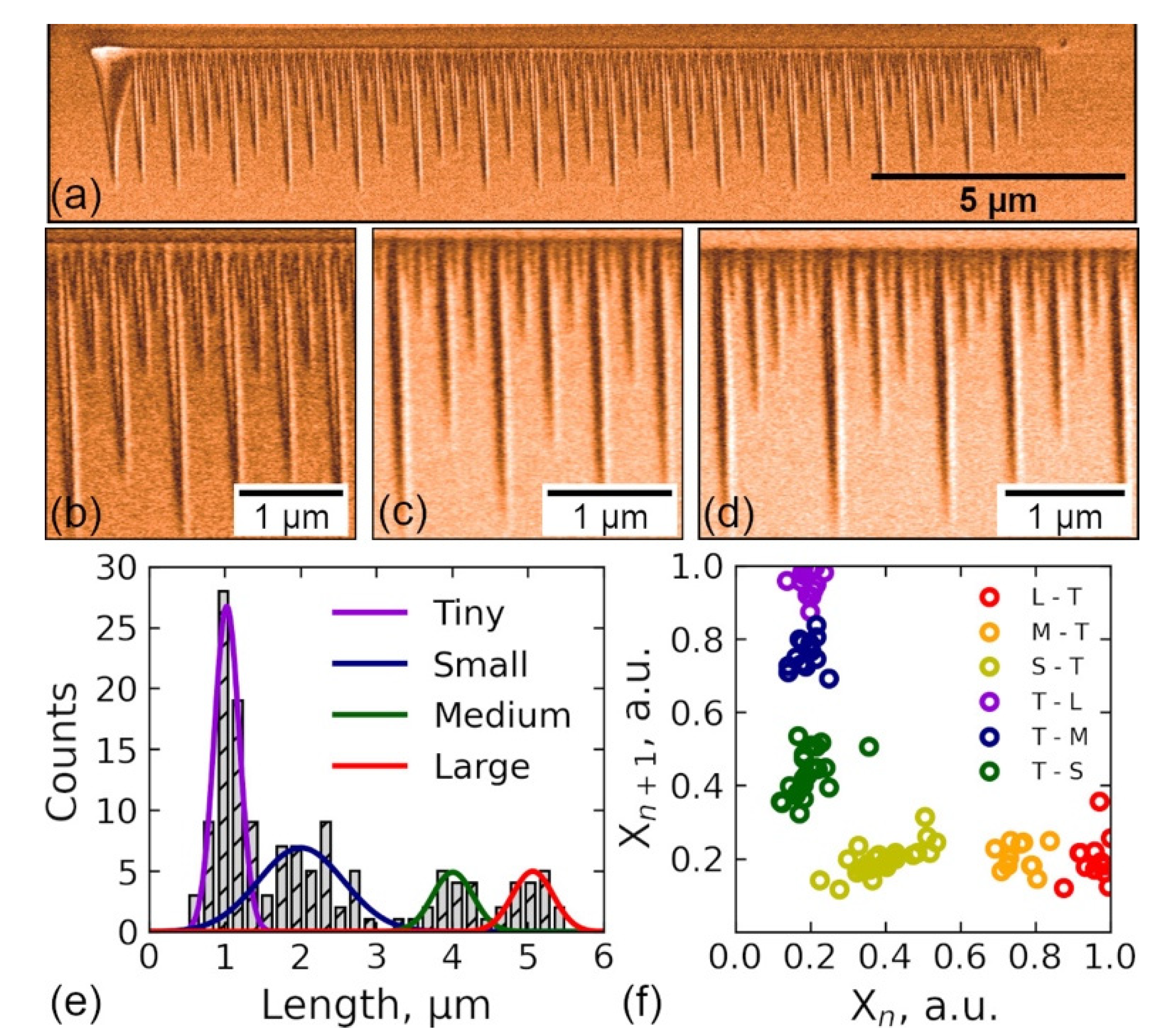 Crystals 12 00659 g007