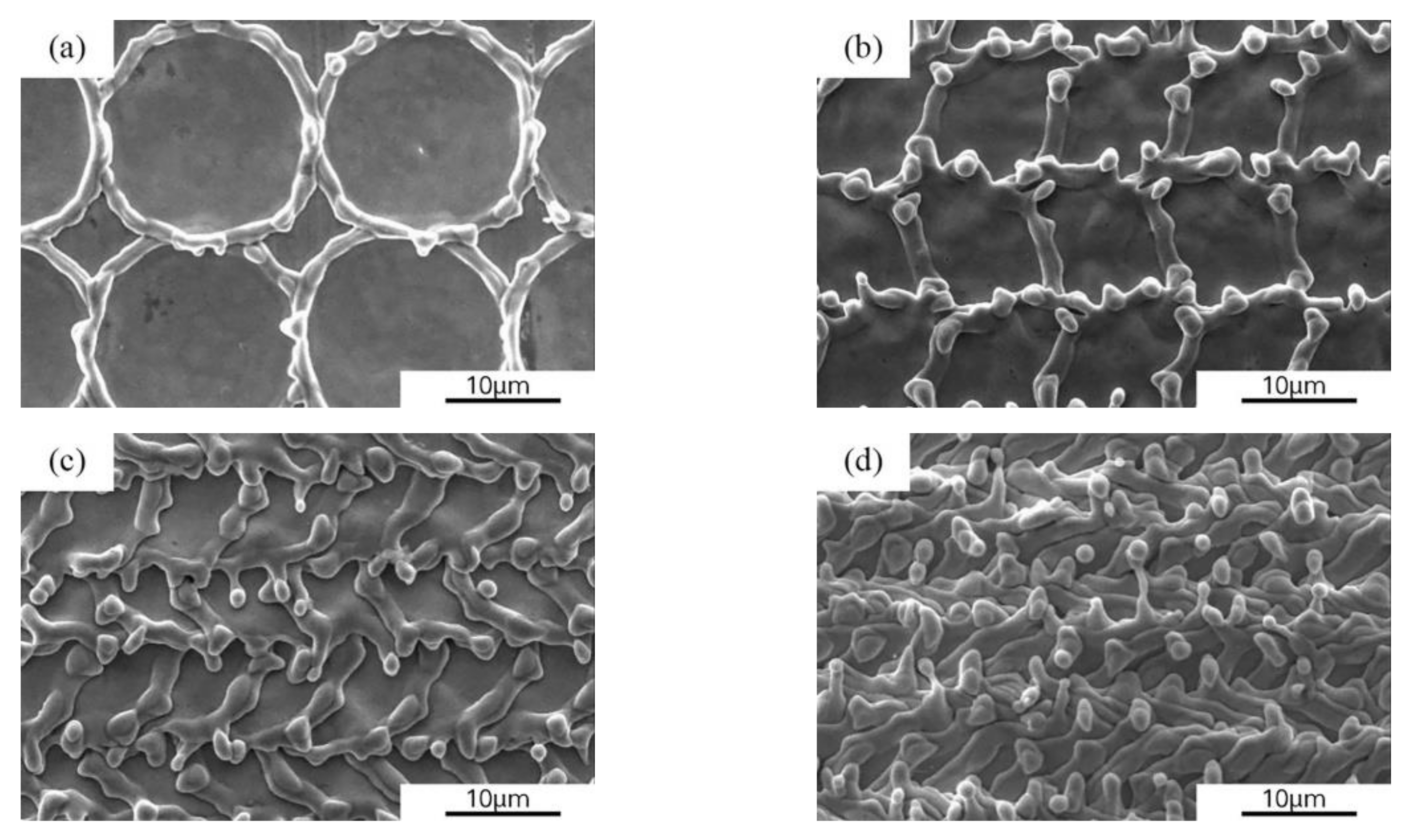 Crystals 12 00695 g007