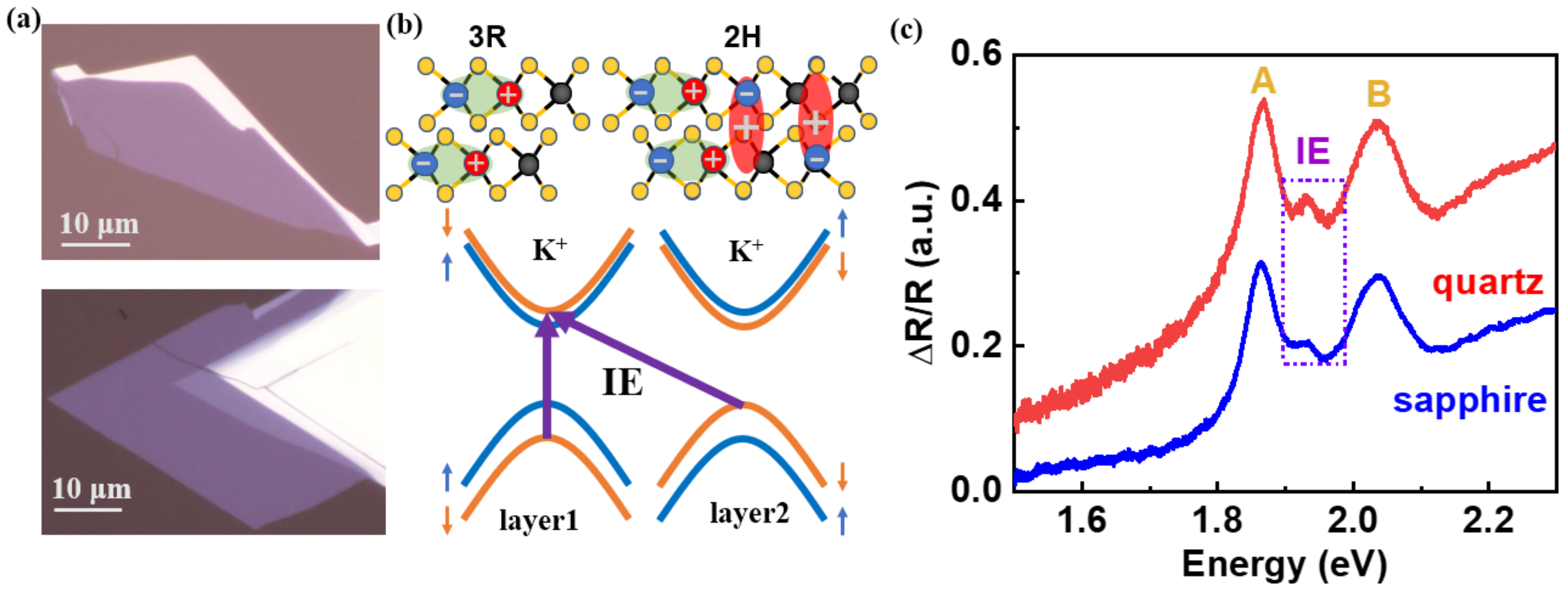 Twist Angle-Dependent Interlayer Exciton in MoS2 Bilayers Revealed by ...