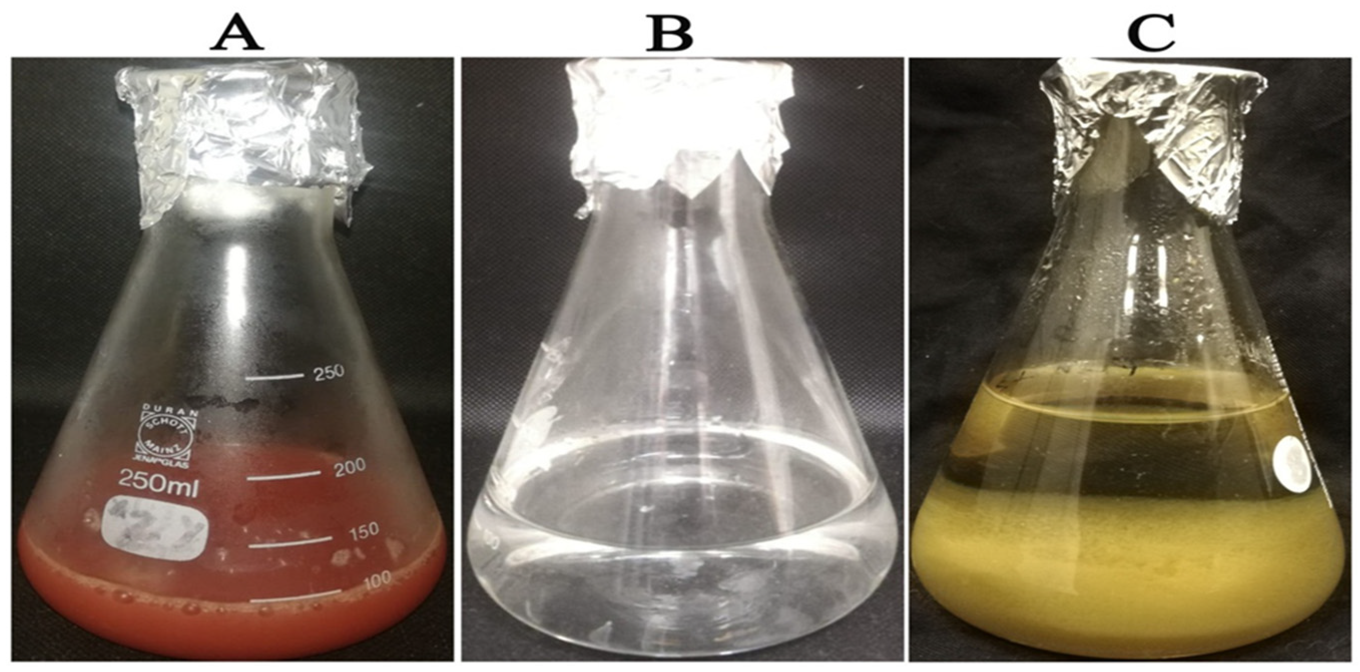 Crystals 12 00774 g001