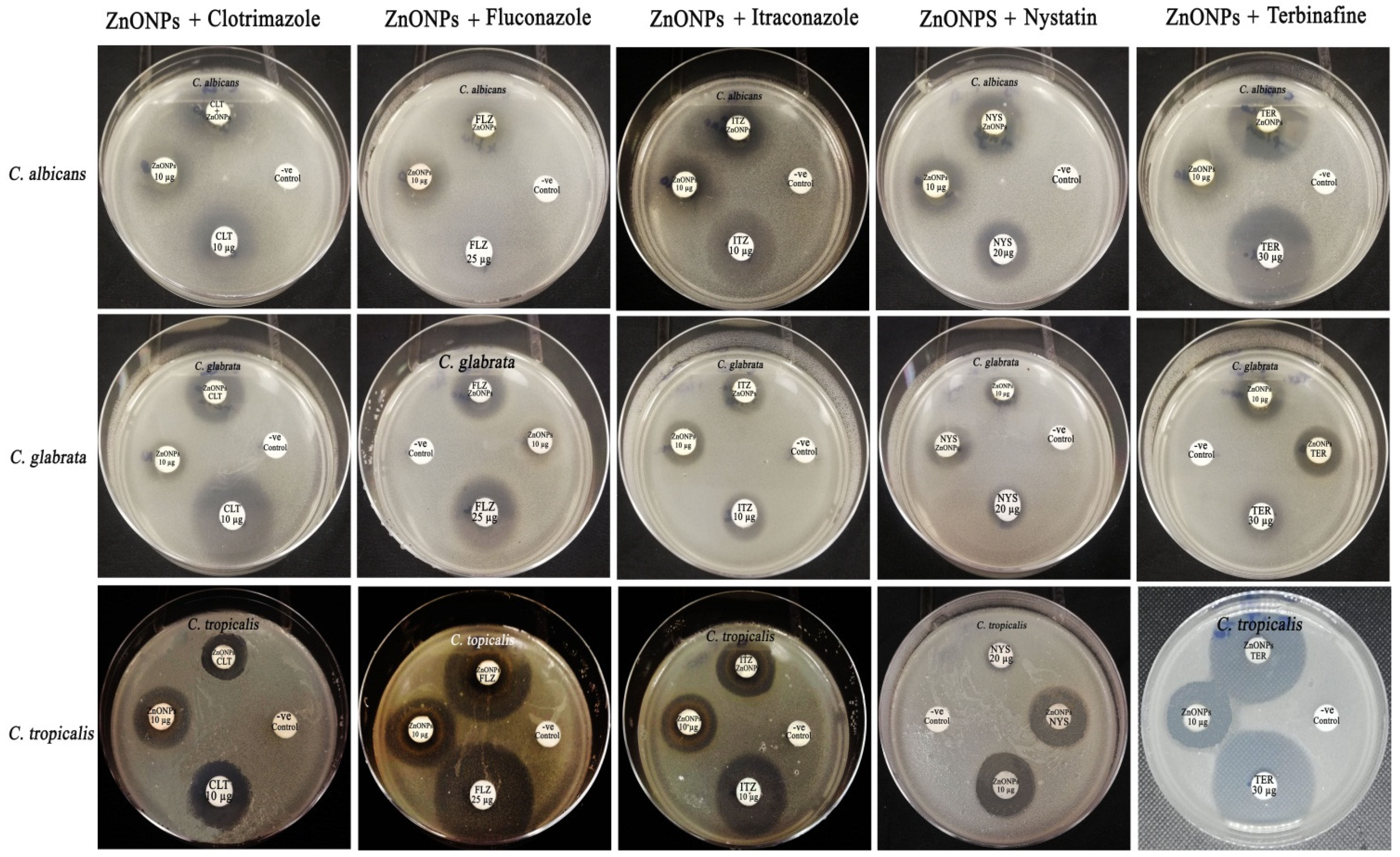 Crystals 12 00774 g010