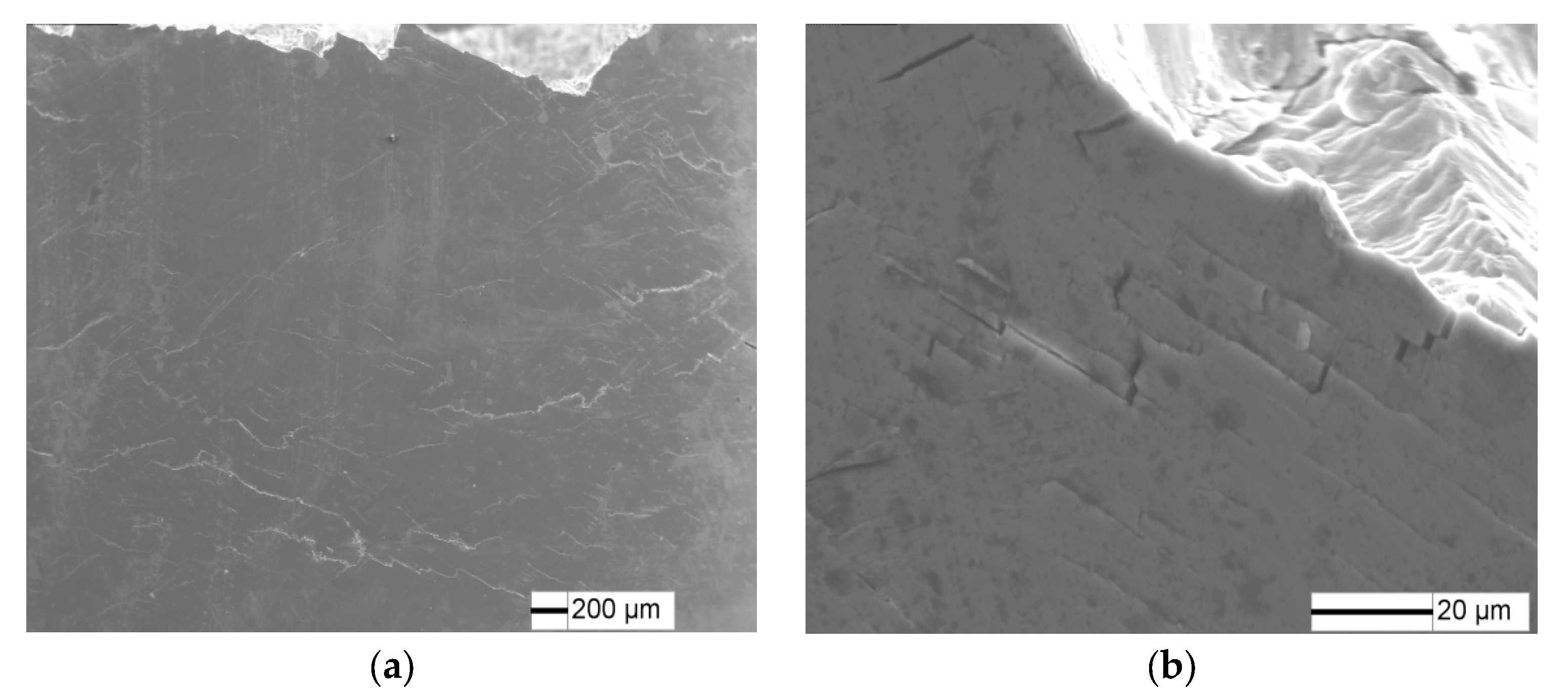 Crystals 12 00796 g012