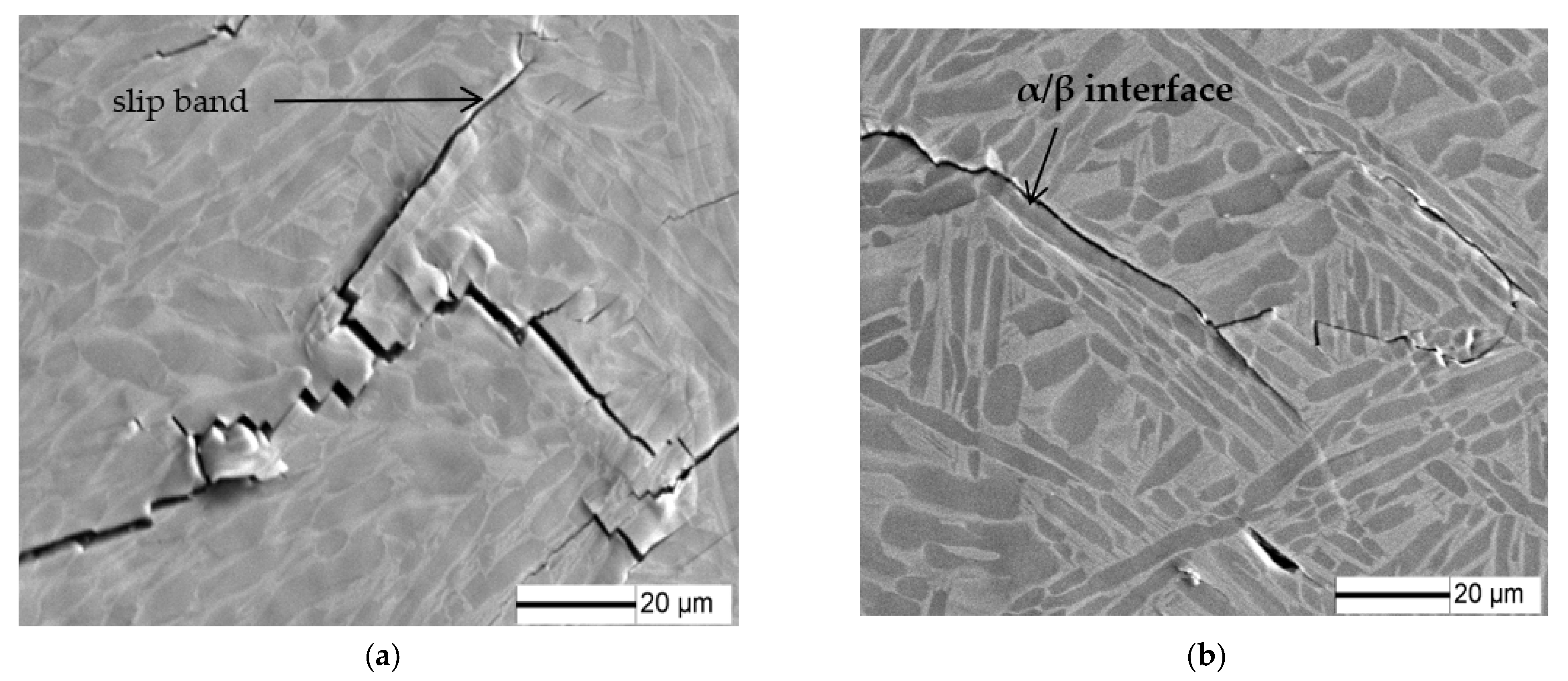 Crystals 12 00796 g013