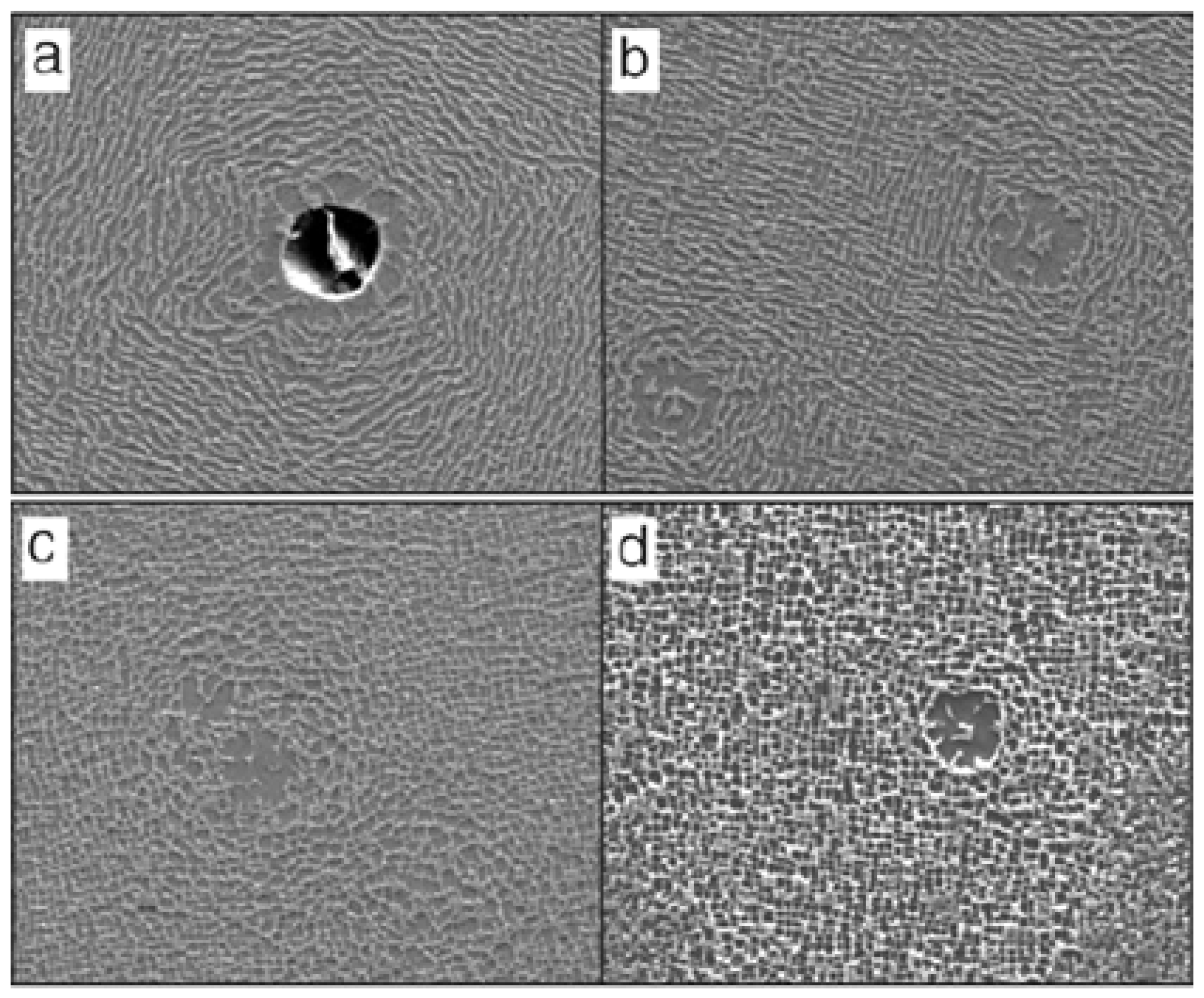 Crystals 12 00805 g006