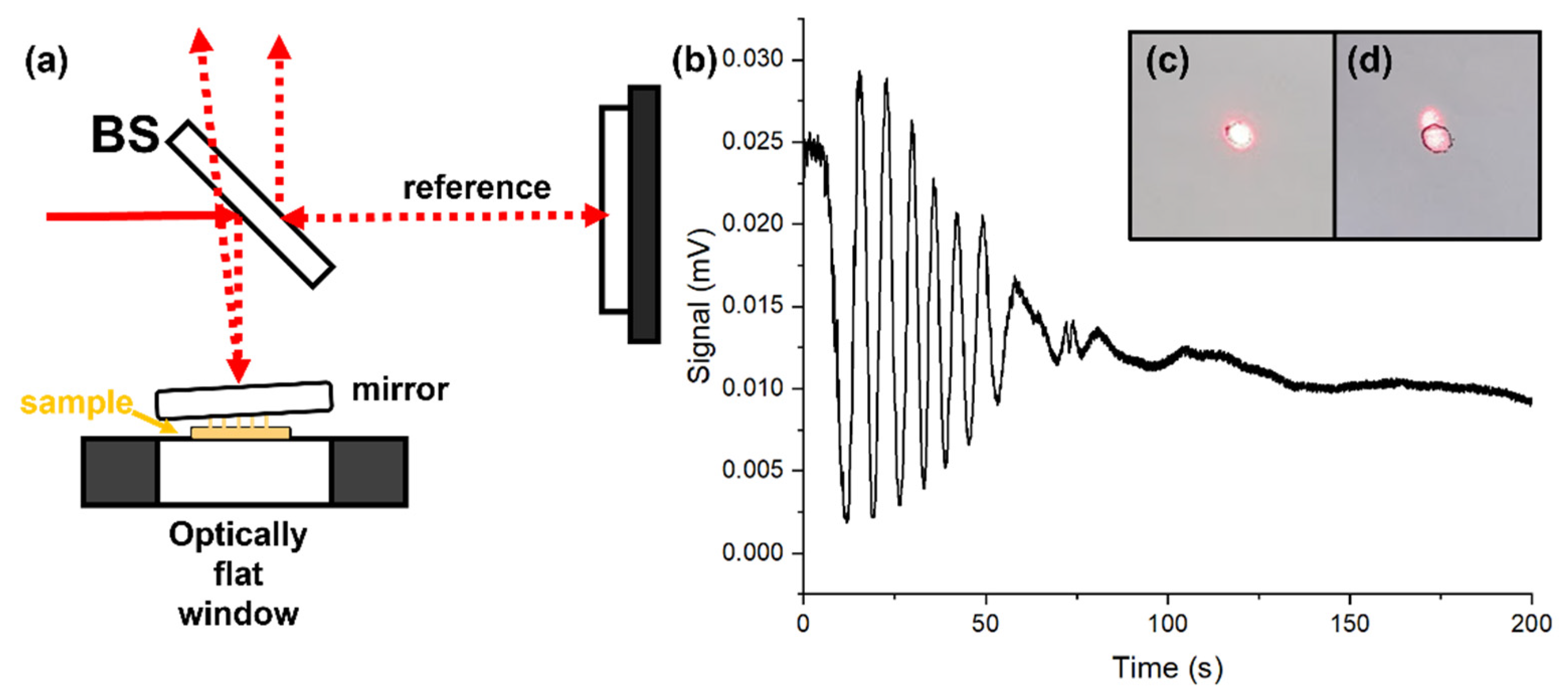 Crystals 12 00808 g005