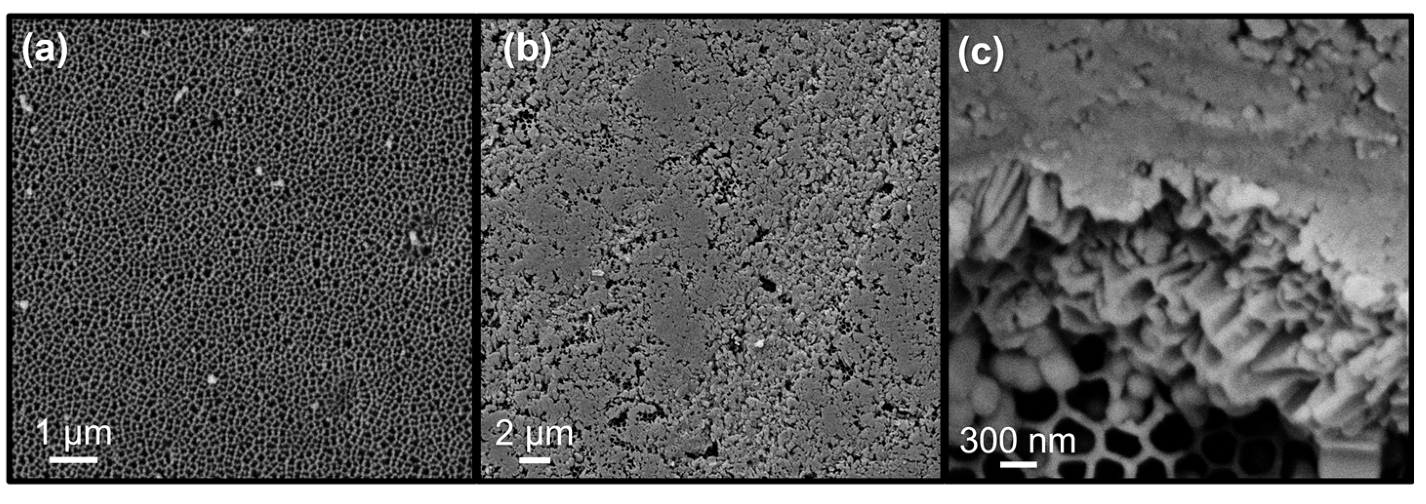 Crystals 12 00808 g008