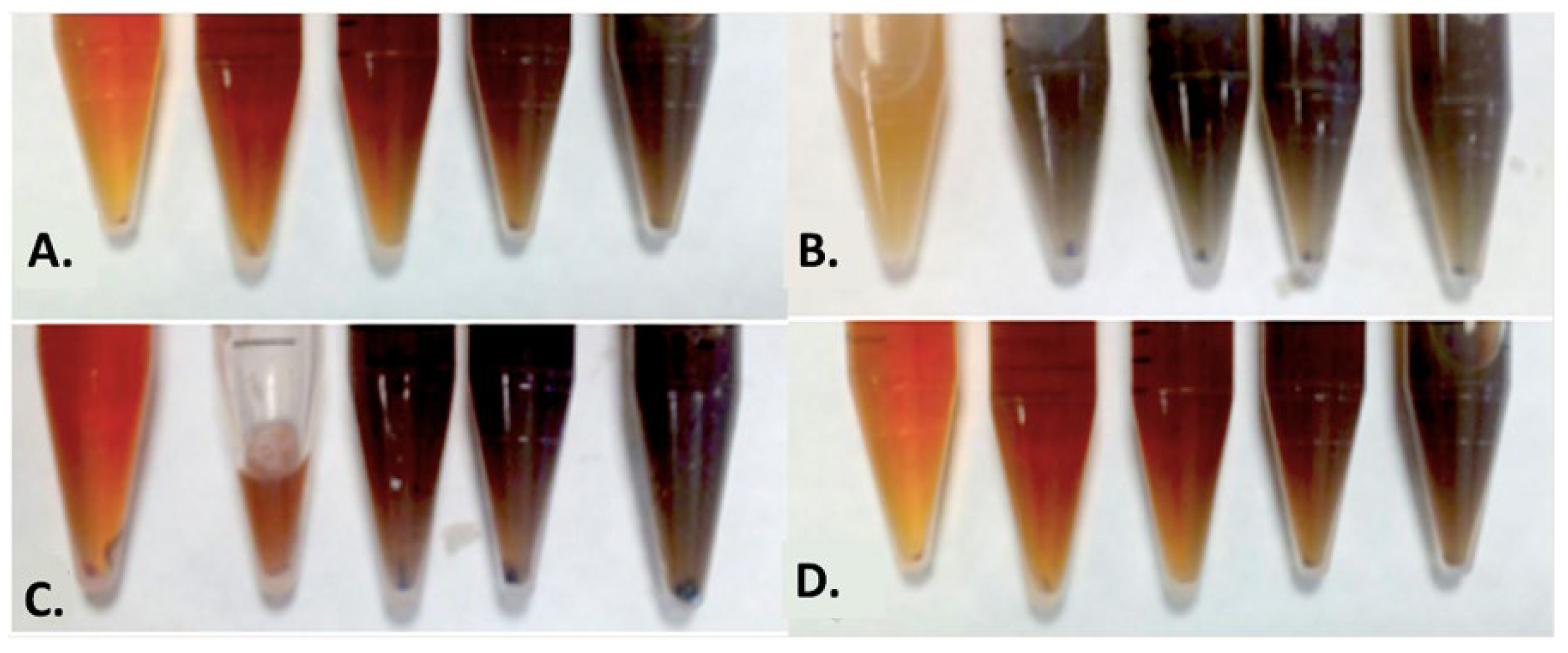 Crystals 12 00814 g001