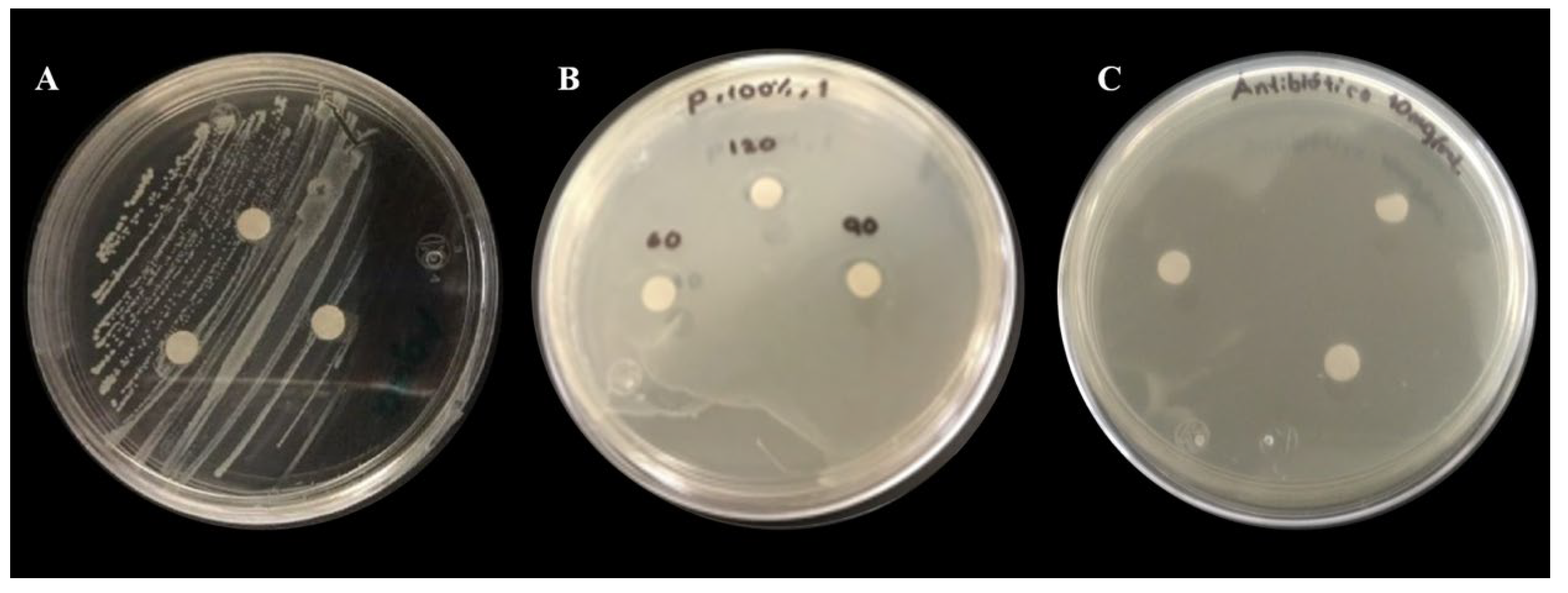 Crystals 12 00814 g008