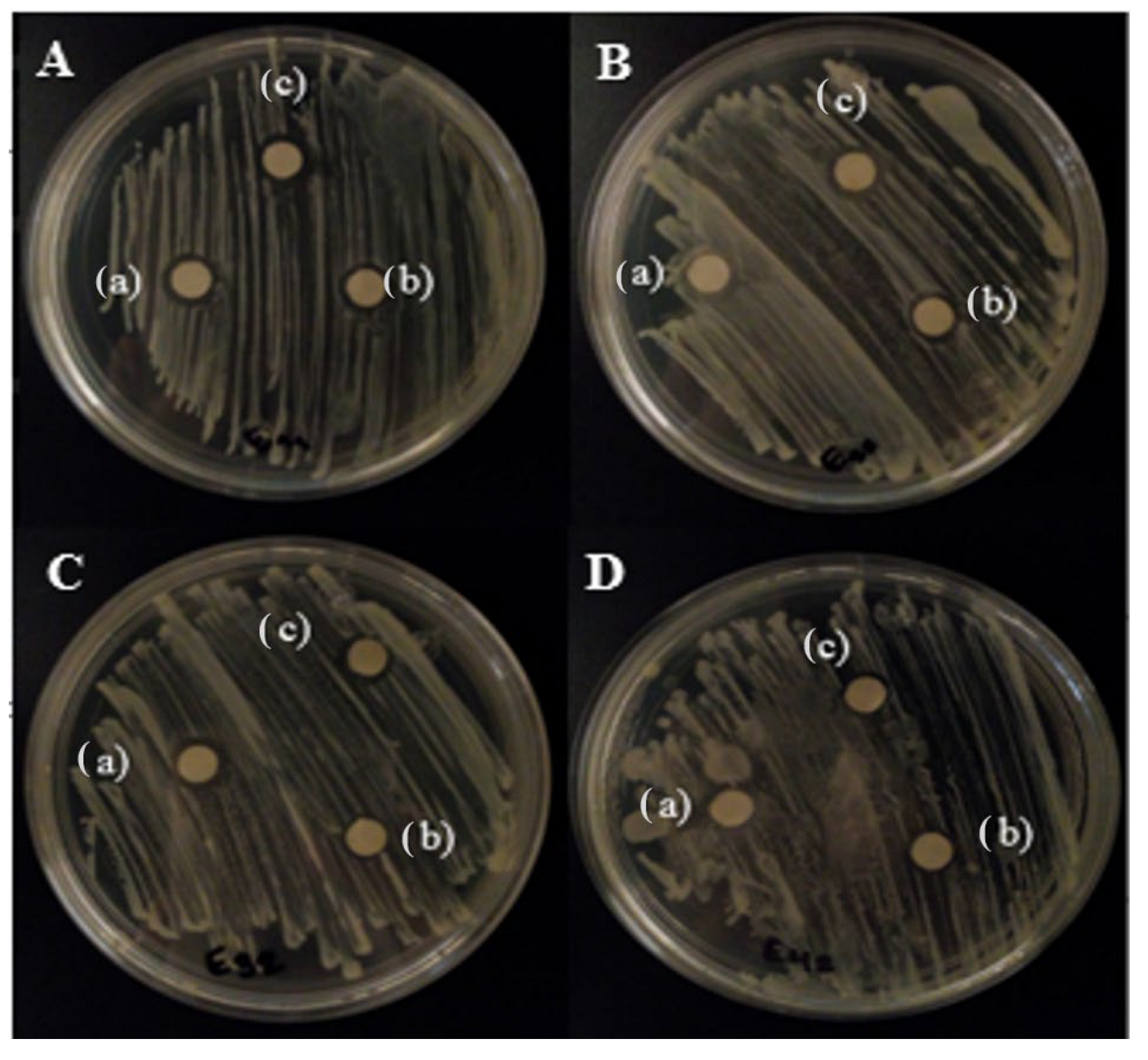 Crystals 12 00814 g009
