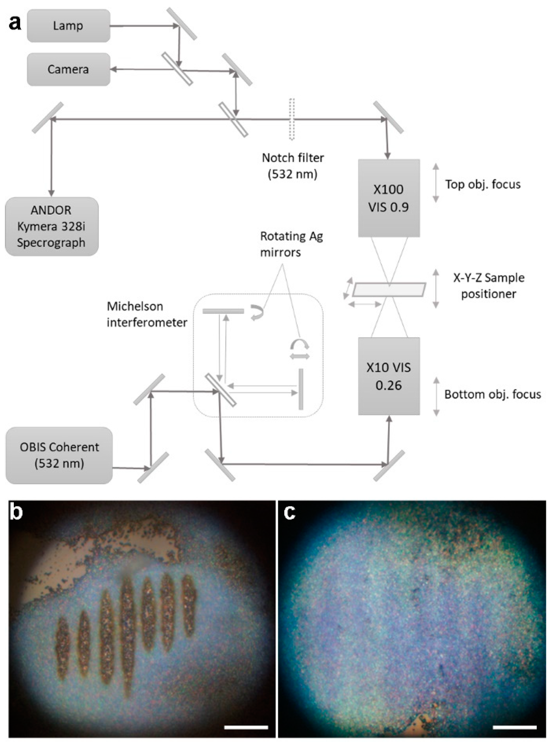 Crystals 12 00846 g002