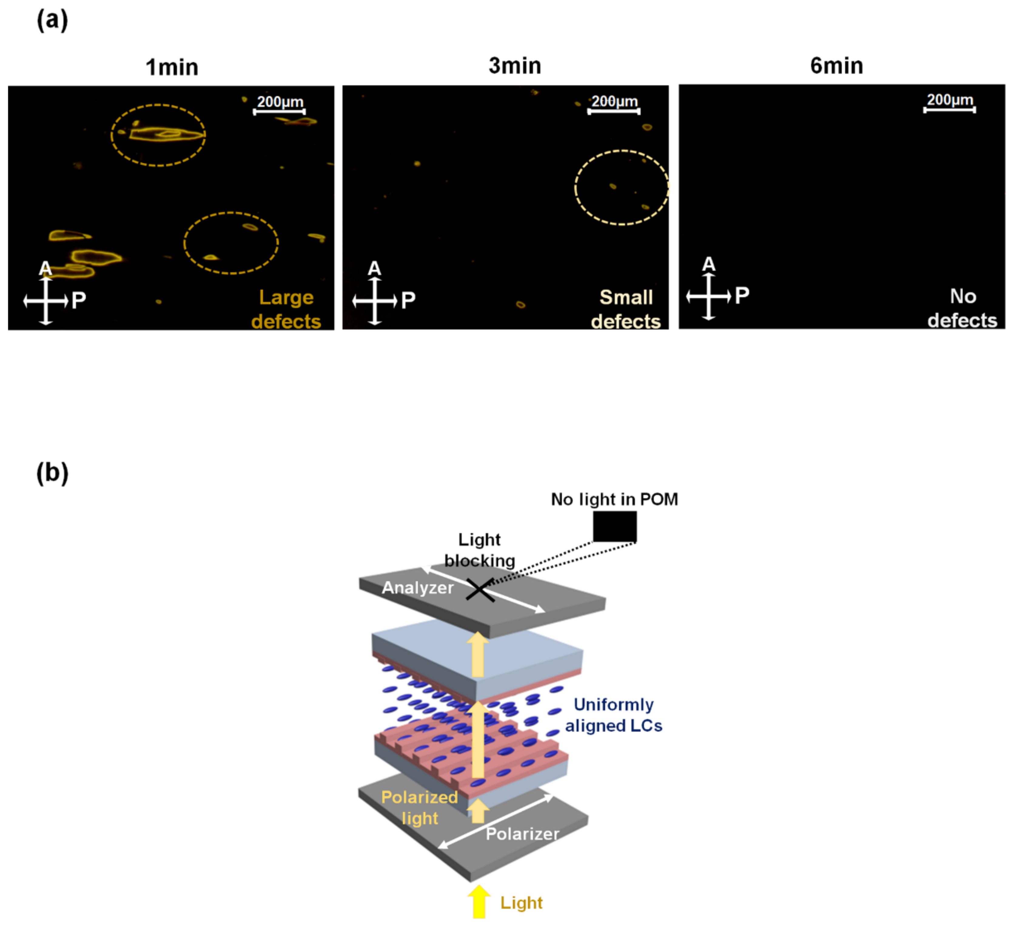 Crystals 12 00855 g006