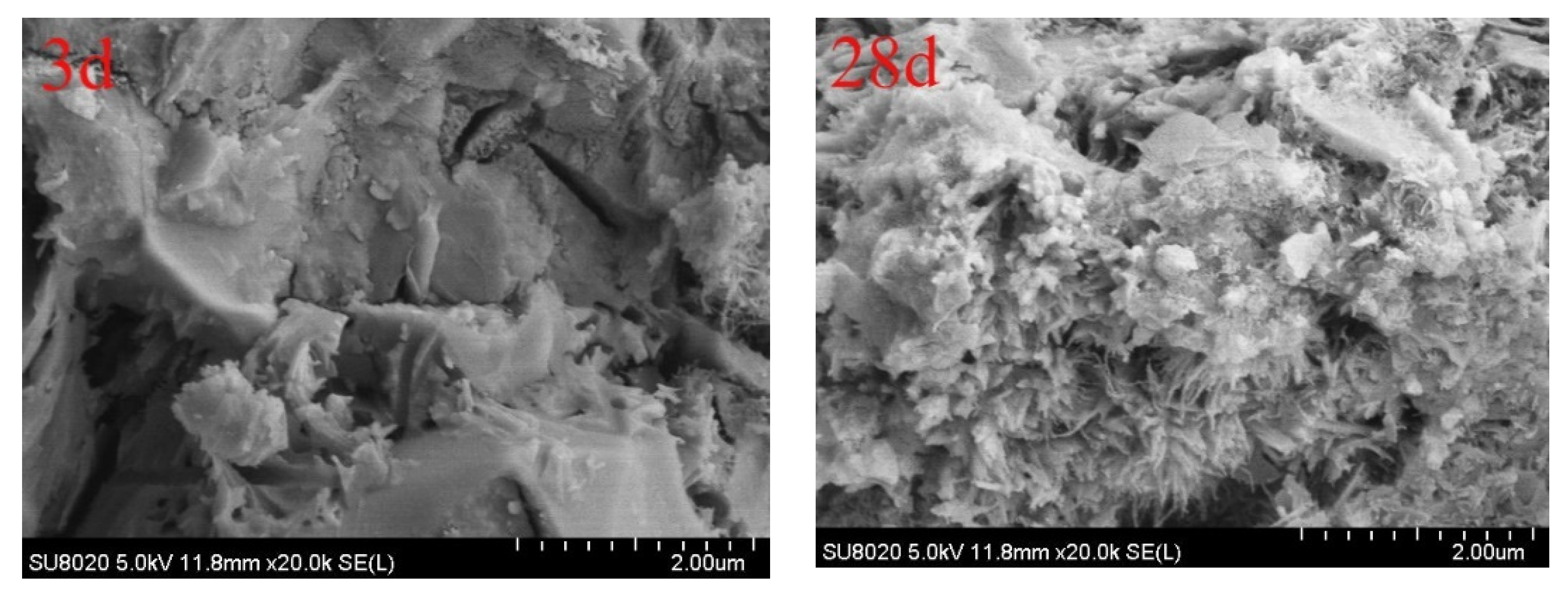 Crystals 12 00868 g010