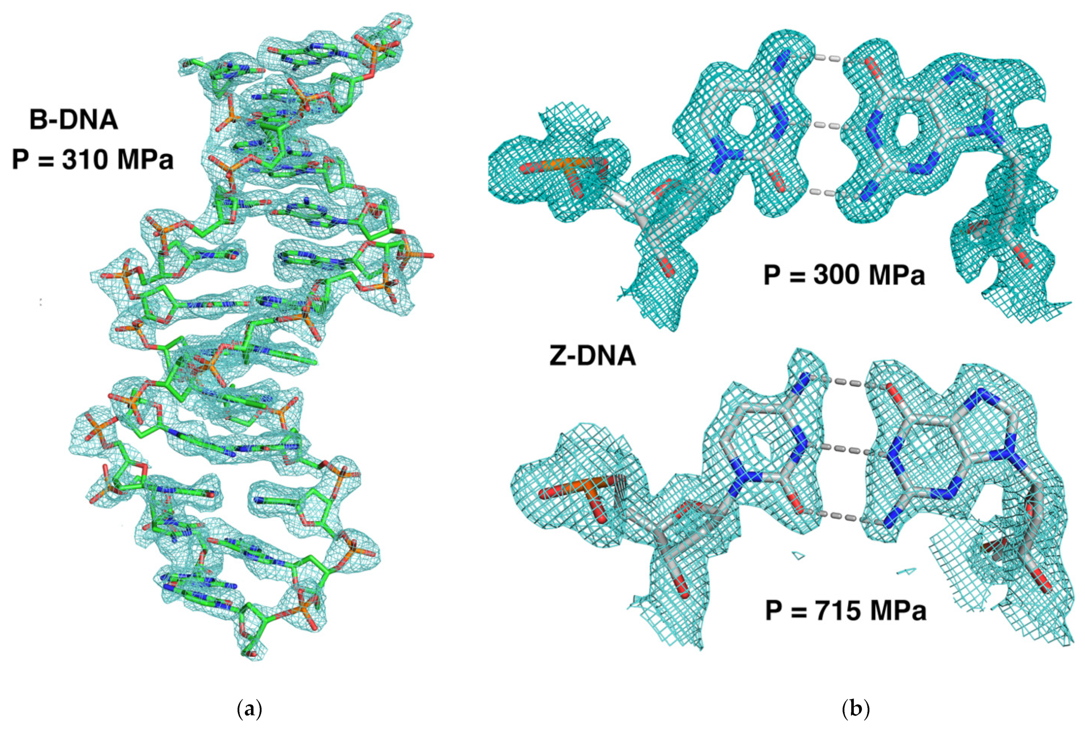Crystals 12 00871 g005