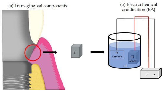 Crystals 12 00893 g001 550