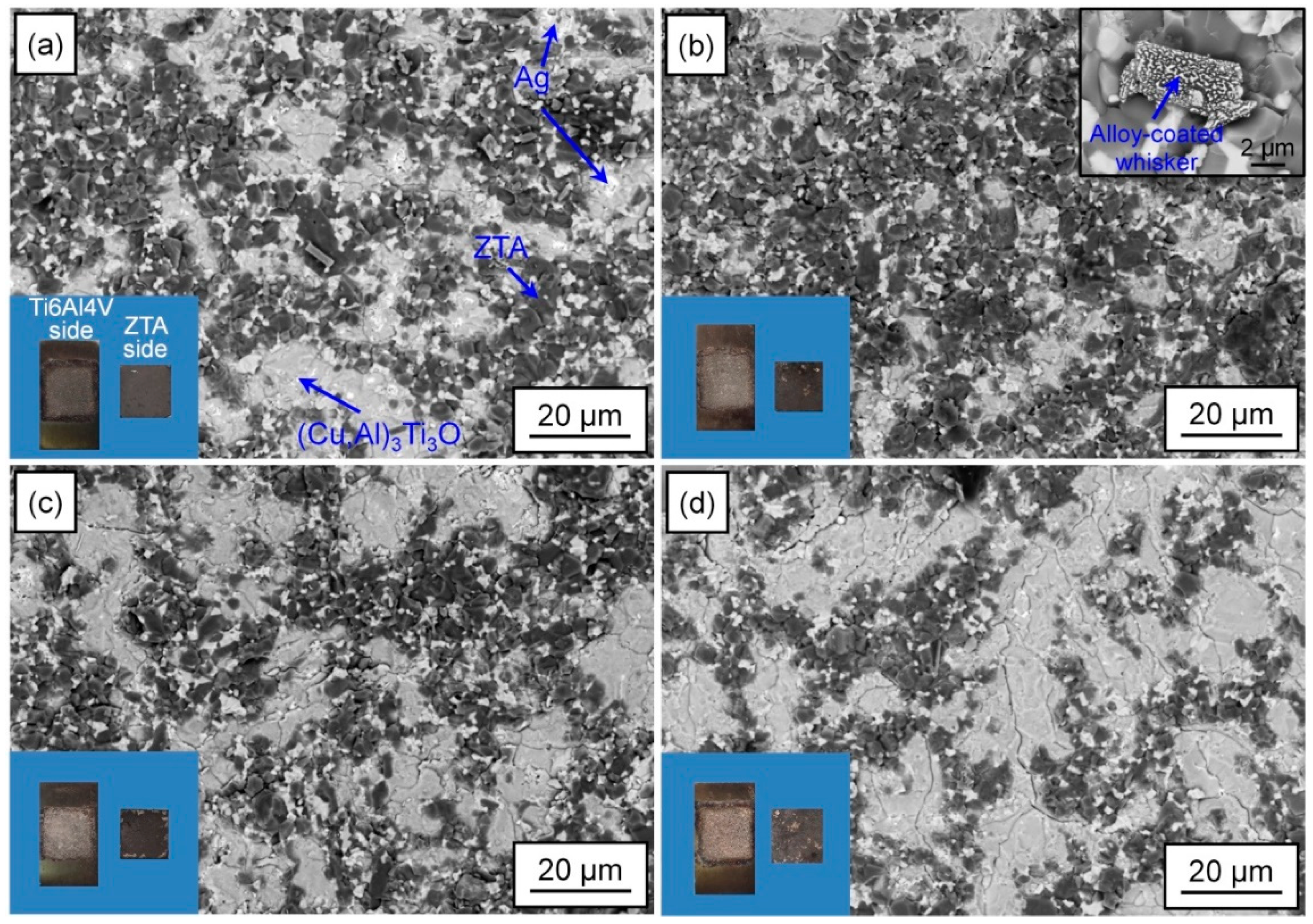 Crystals 12 00933 g007