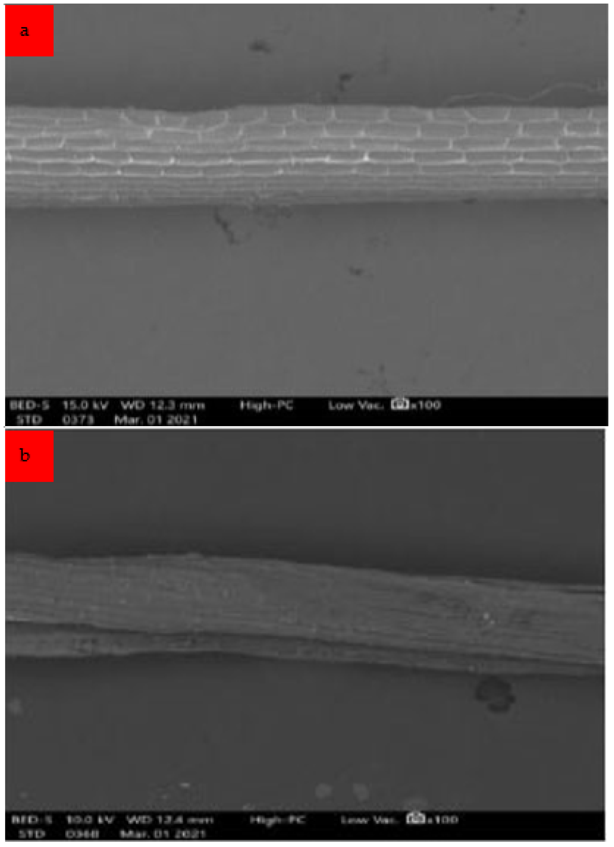 Crystals 12 00952 g003