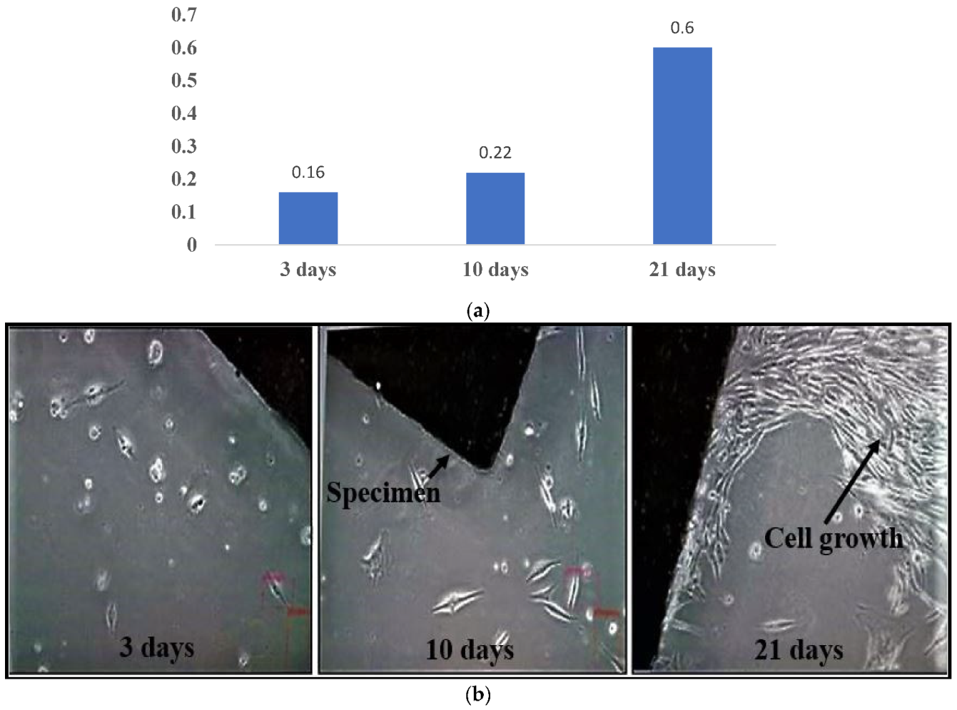 Crystals 12 00954 g005