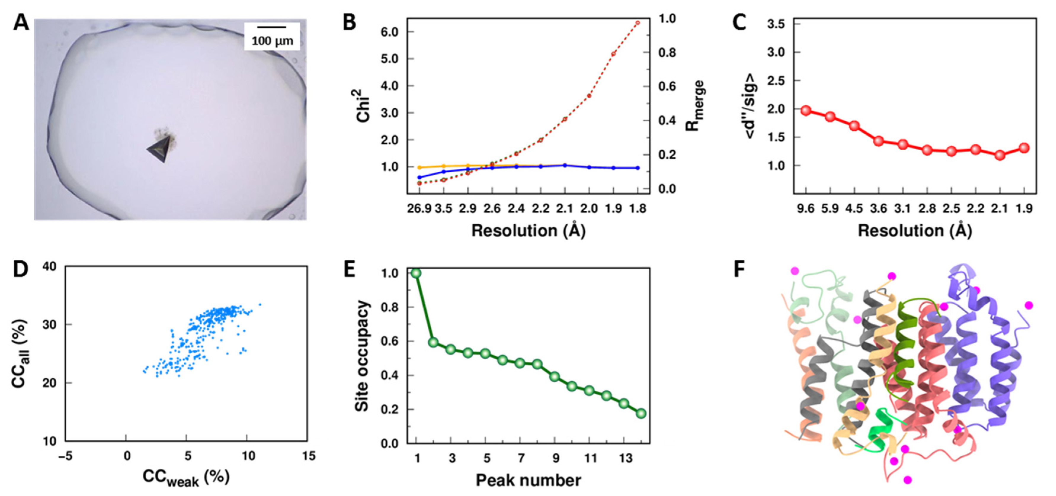 Crystals 12 00976 g005