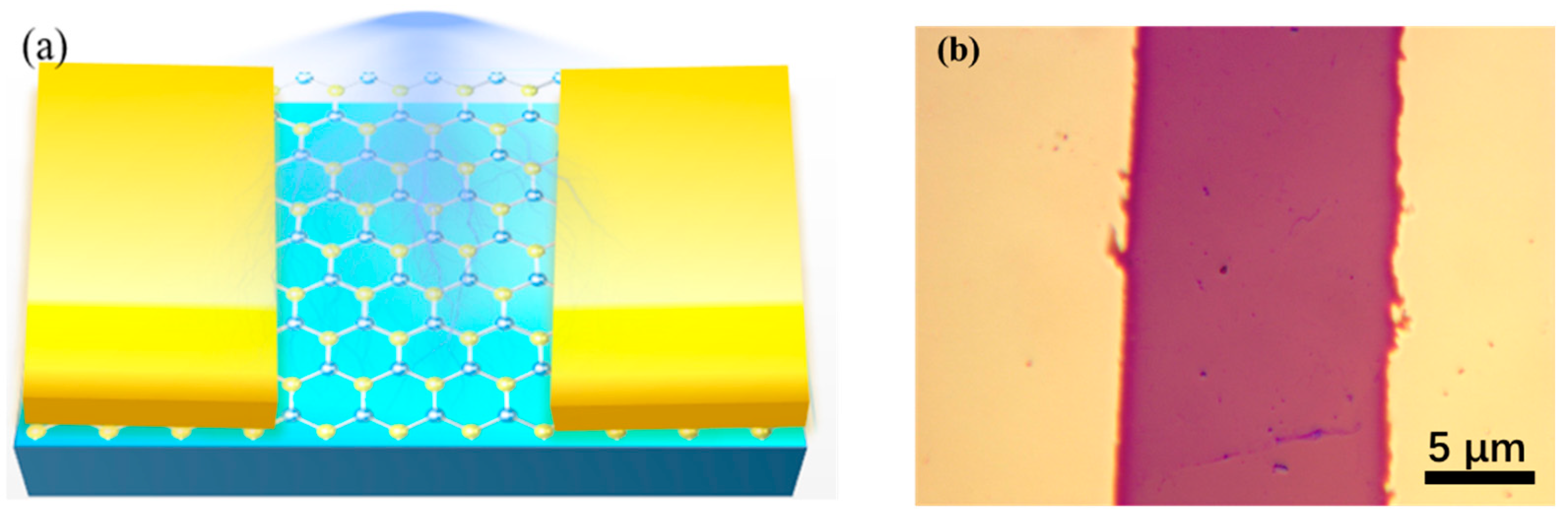 Crystals 12 00985 g009