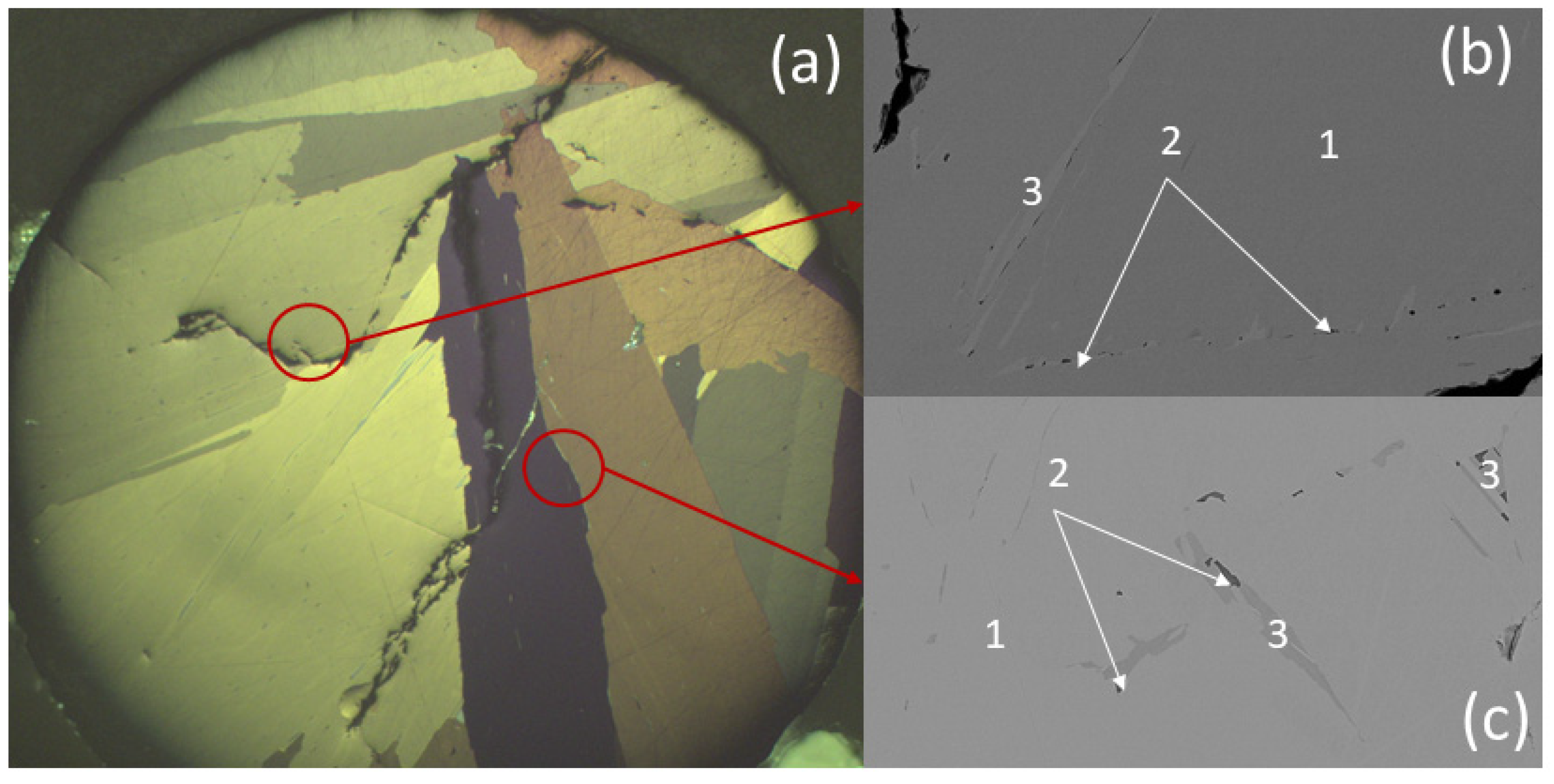 Crystals 12 00998 g005