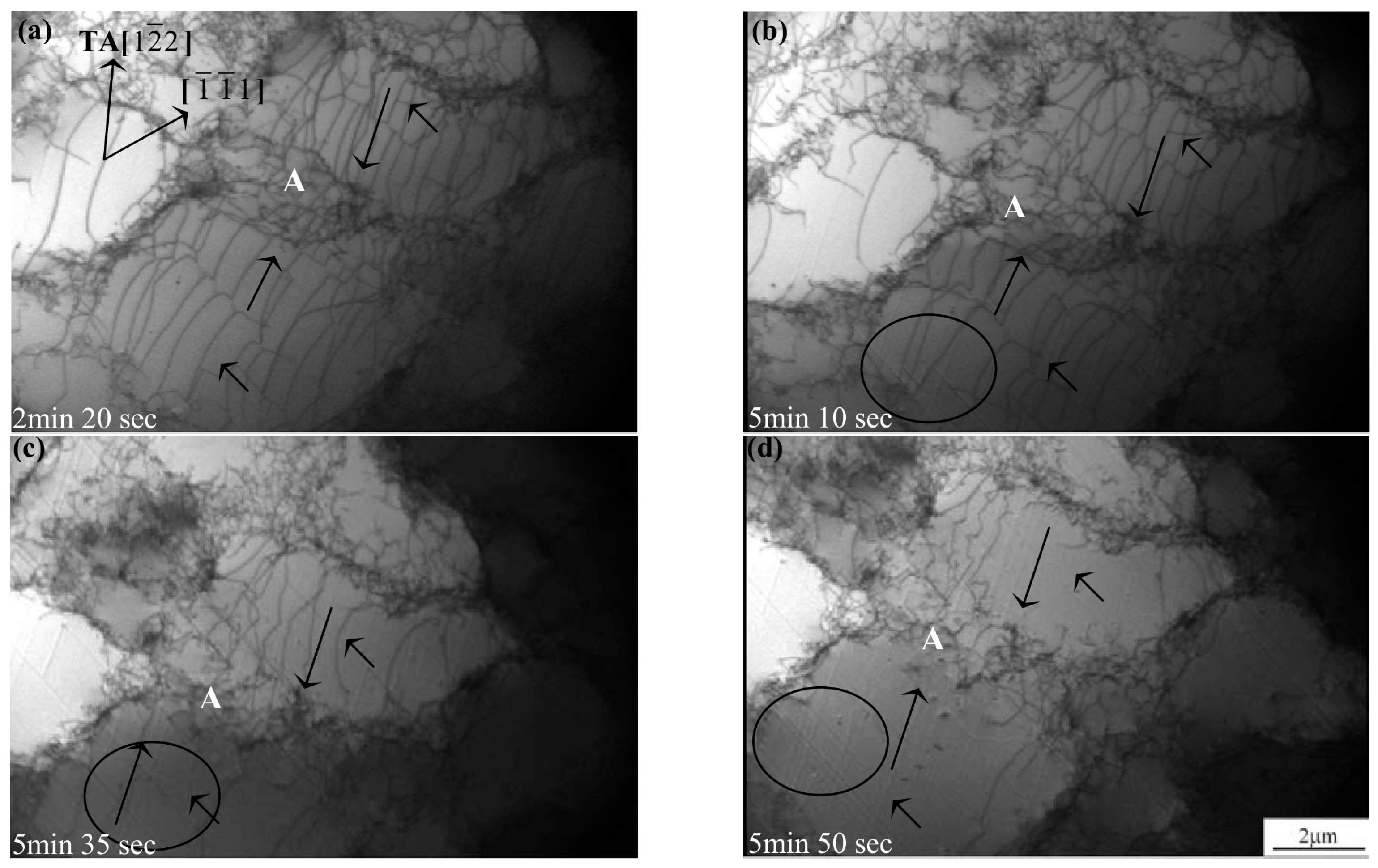 Crystals 12 00999 g006