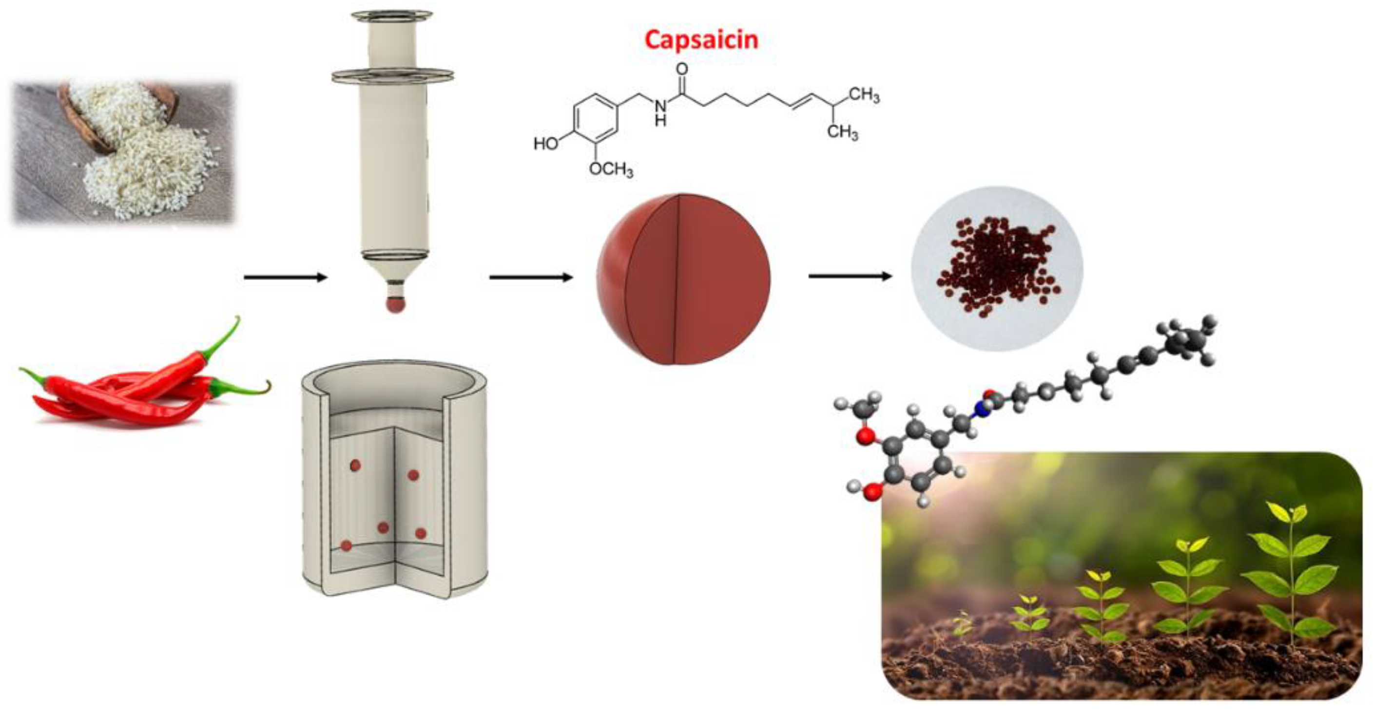 Crystals 12 01048 g001