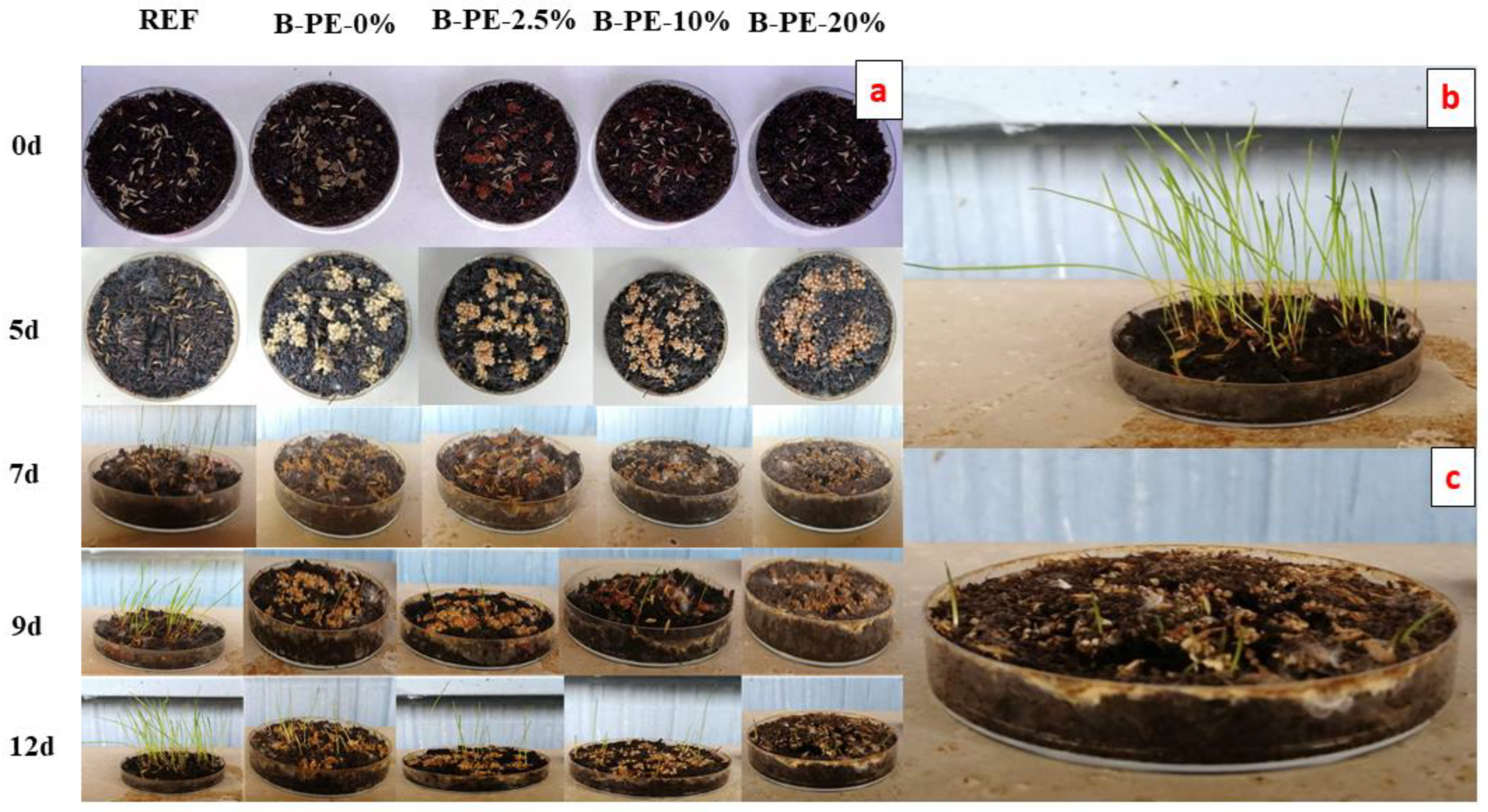 Crystals 12 01048 g010