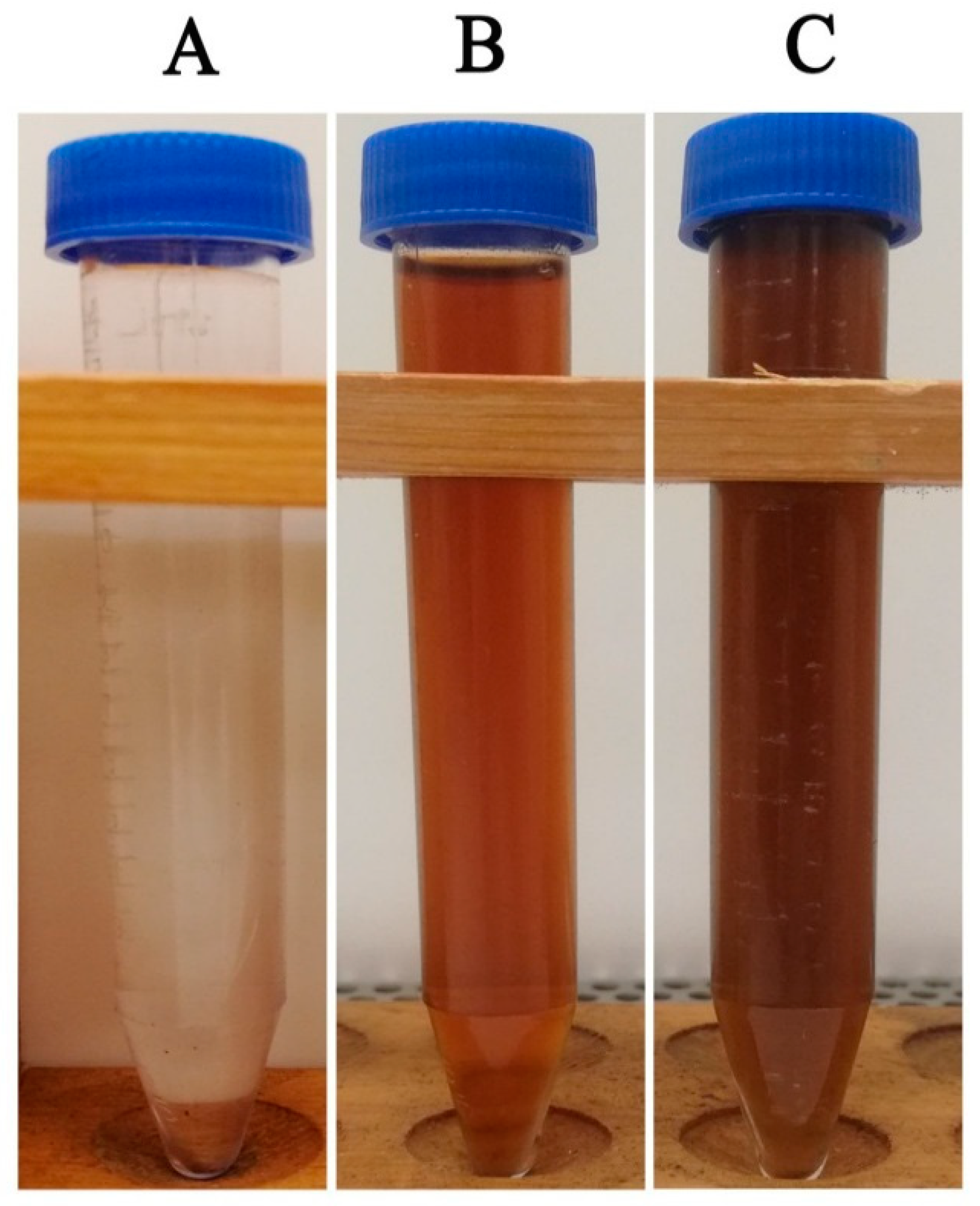 Crystals 12 01057 g001