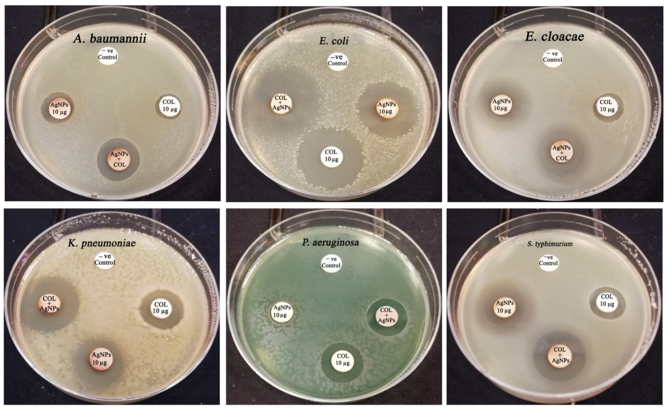 Crystals 12 01057 g011