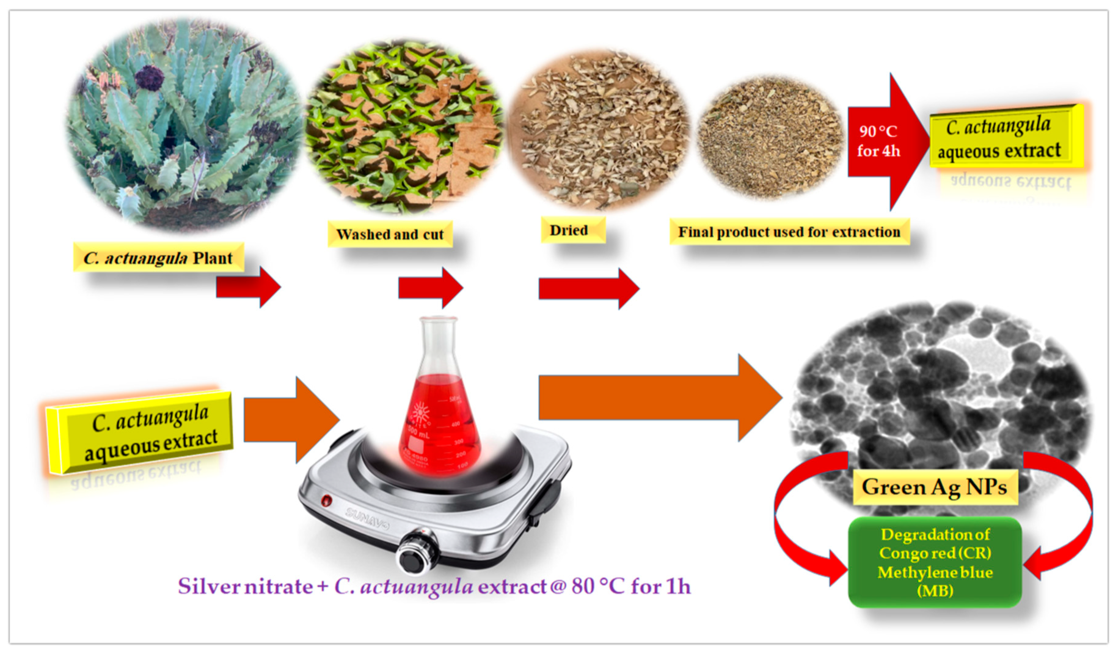 Crystals 12 01069 g001