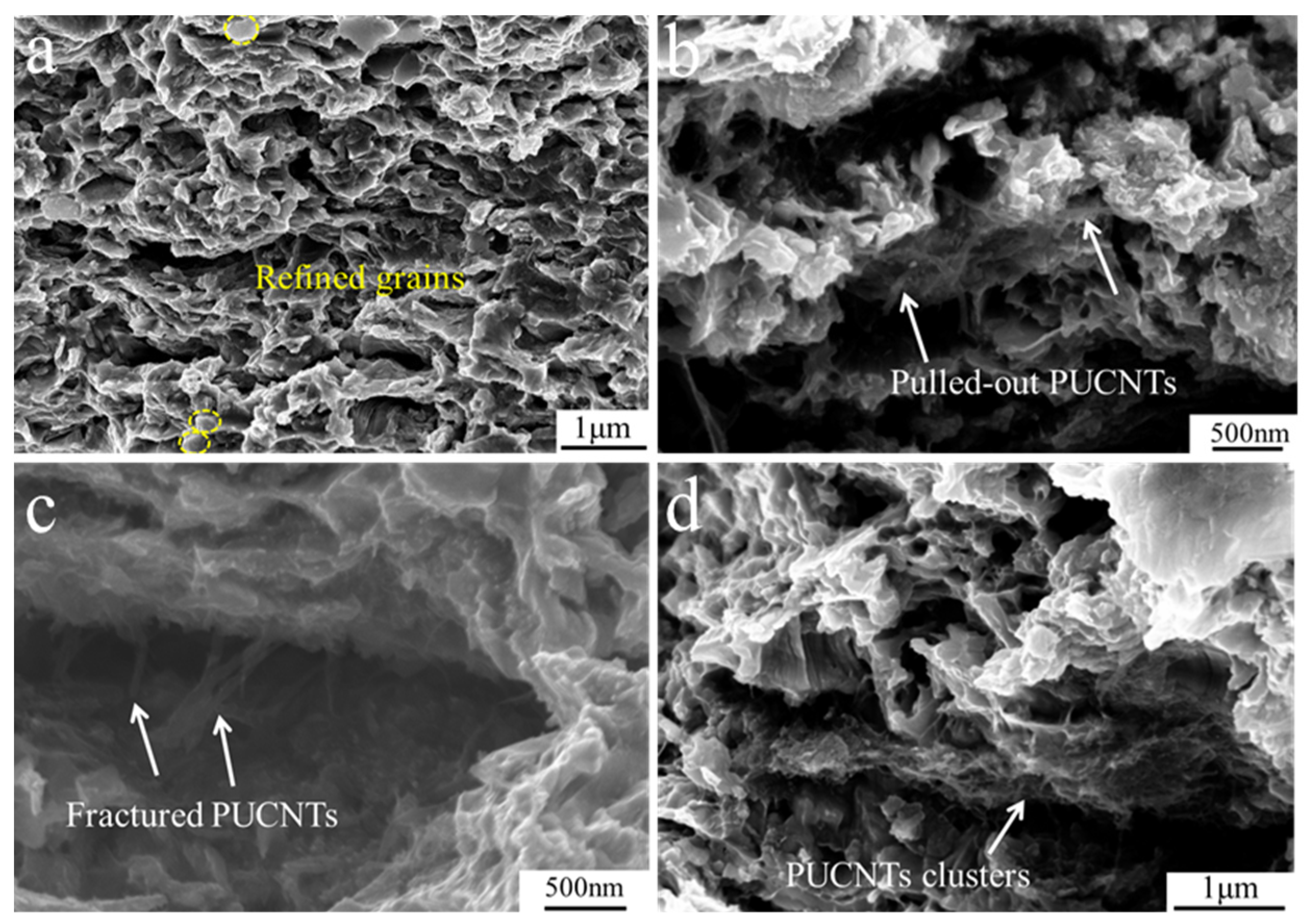 Crystals 12 01110 g006